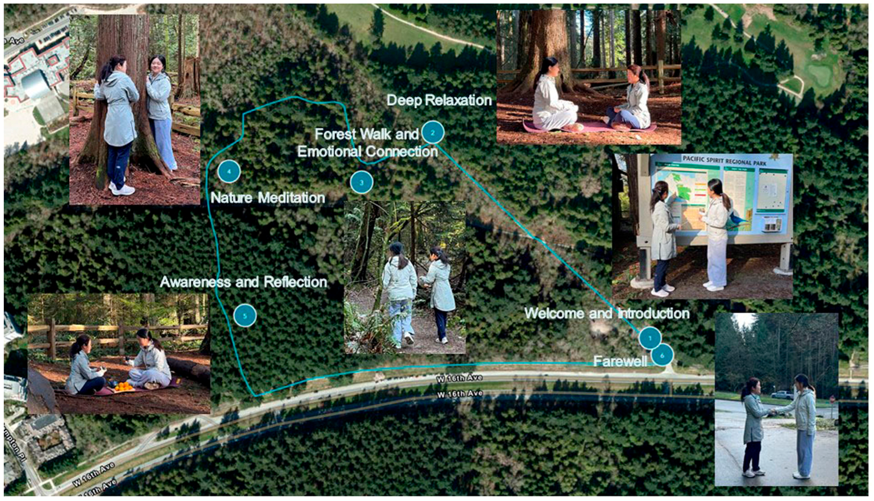 Ijerph 22 01026 g001