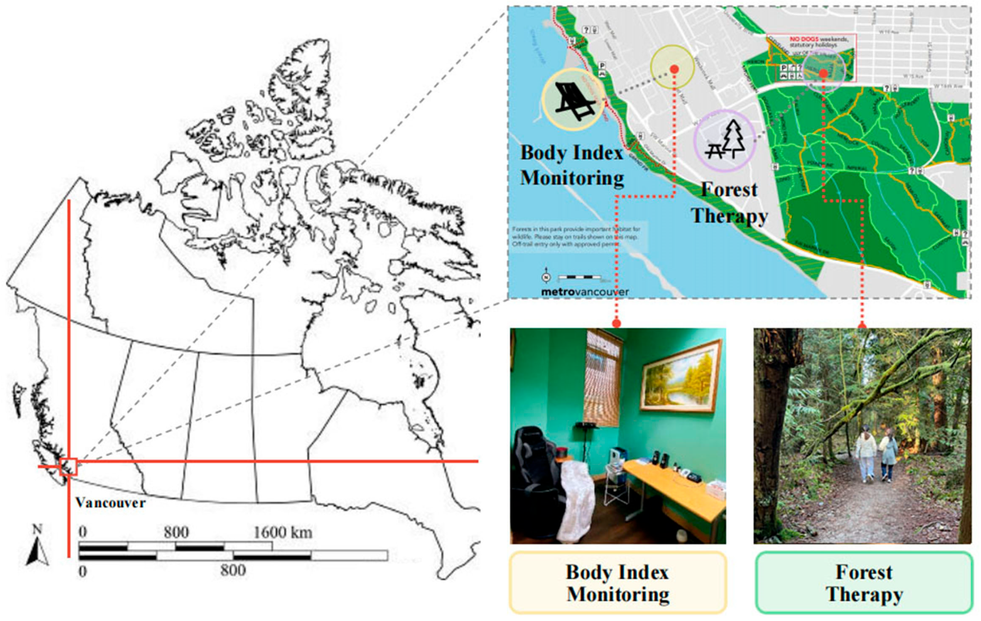 Ijerph 22 01026 g002