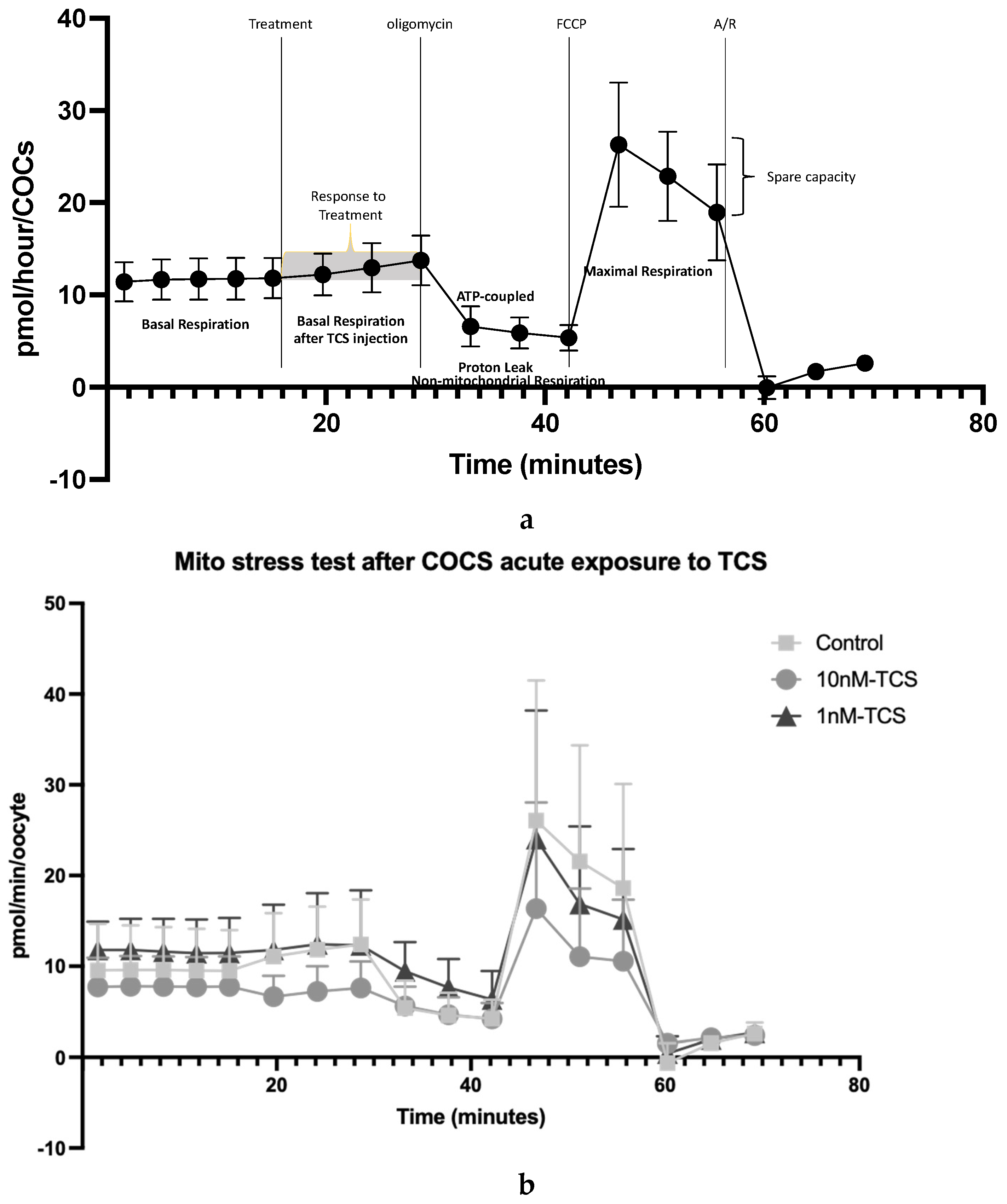 Ijerph 22 01031 g004a