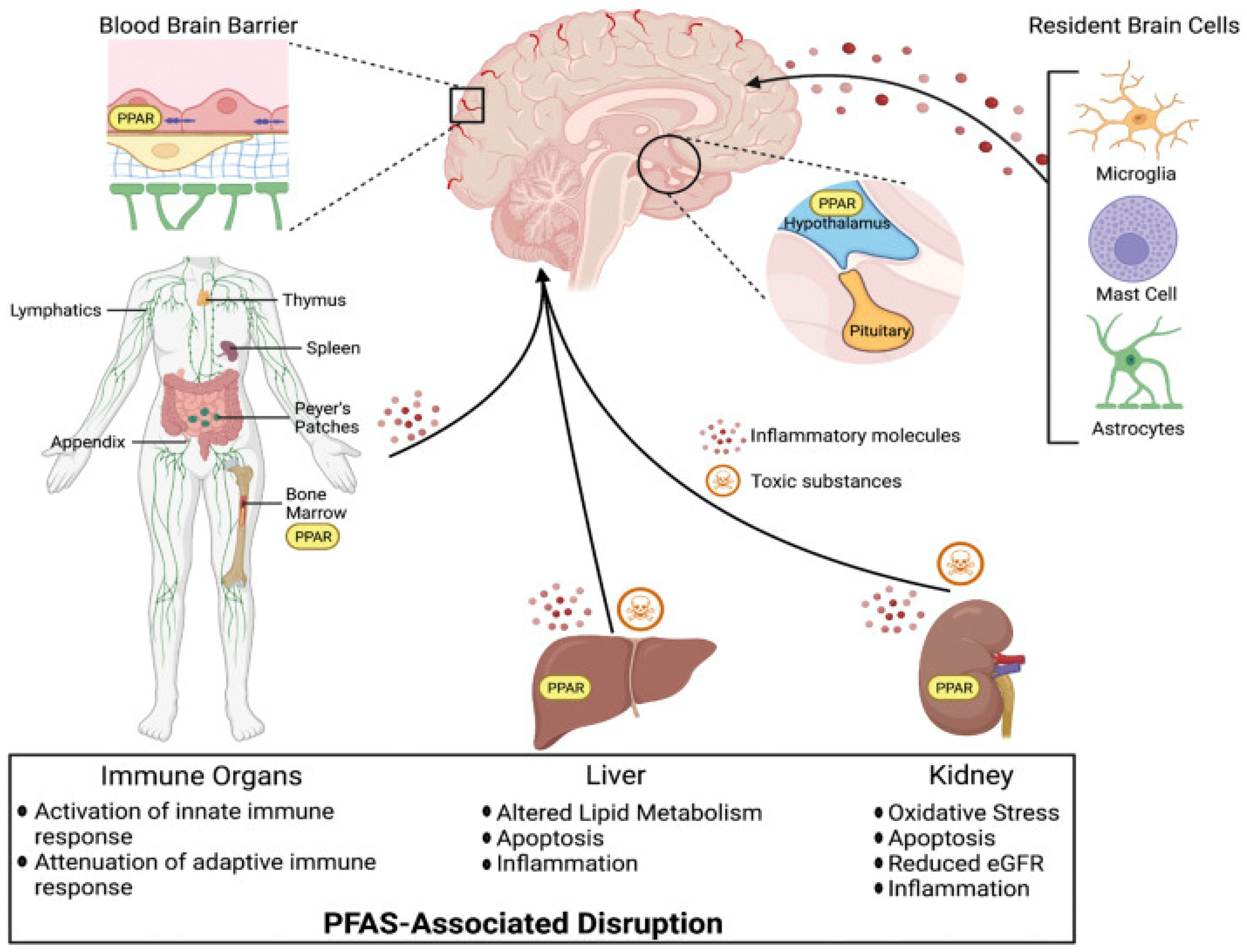 Ijerph 22 01116 g004