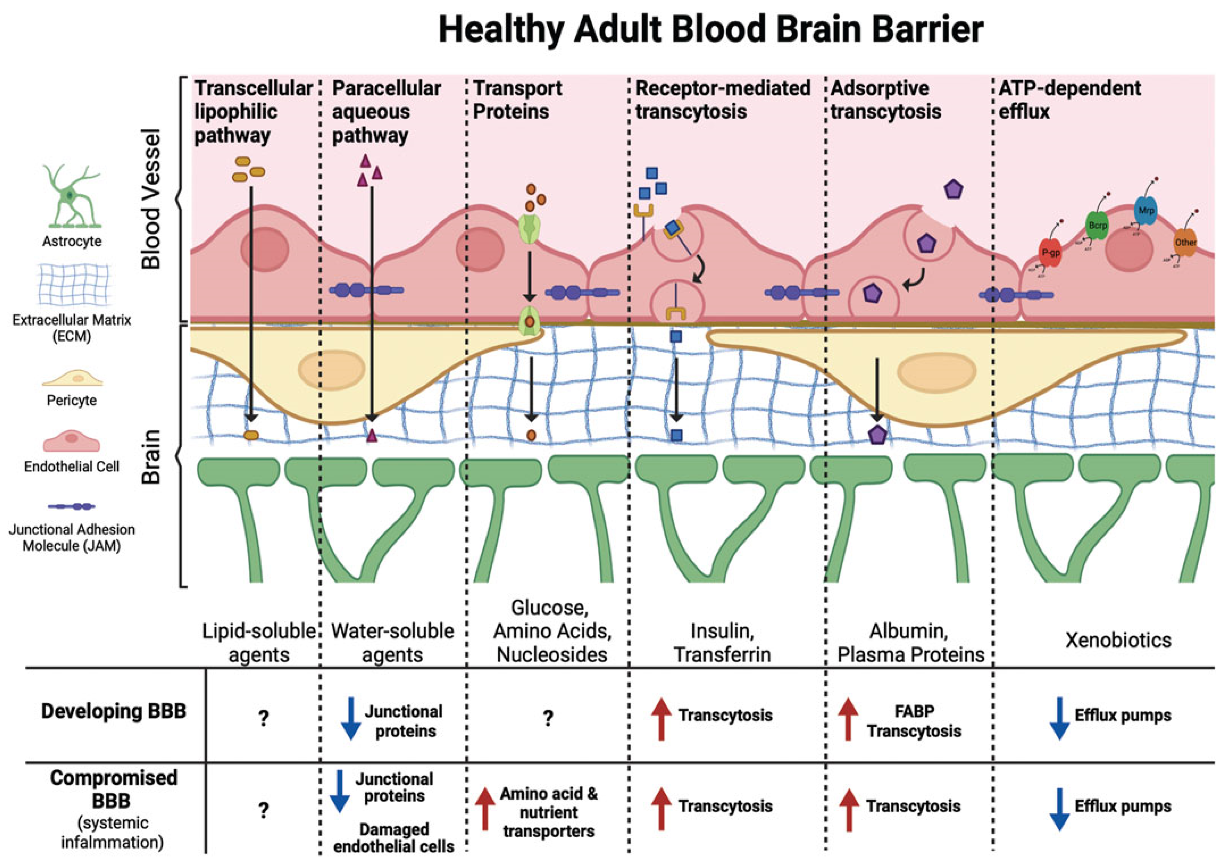 Ijerph 22 01116 g005