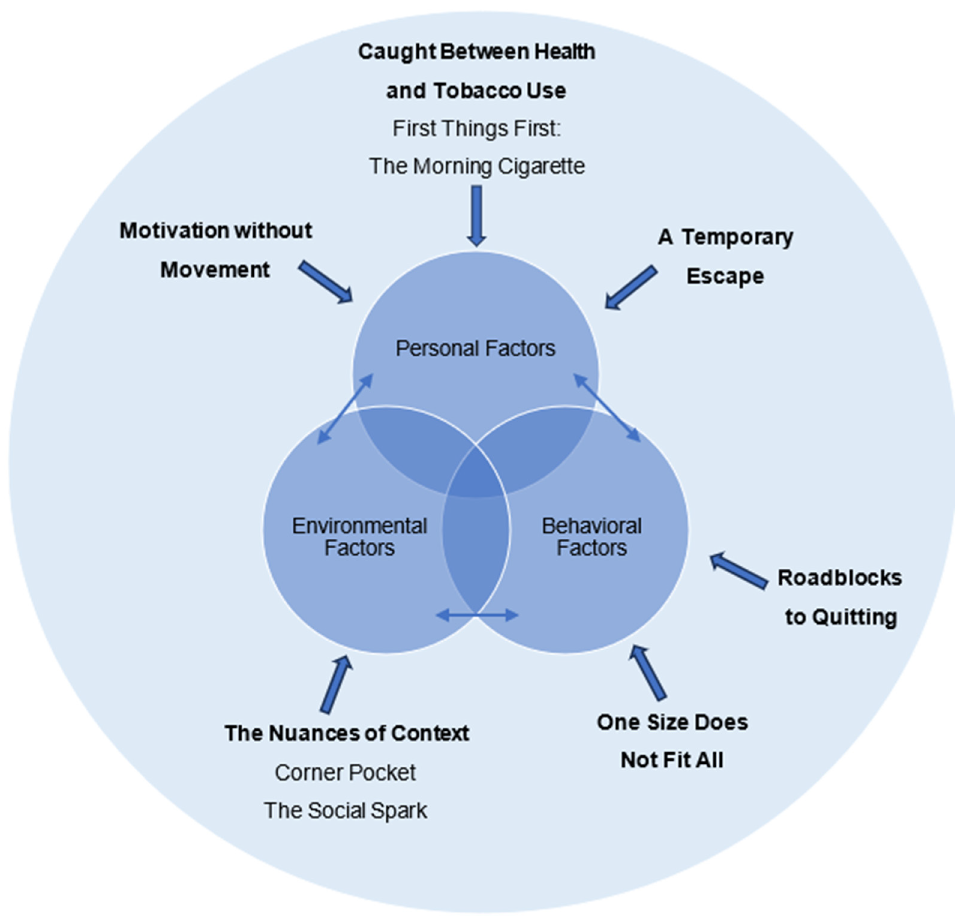 Ijerph 22 01122 g001