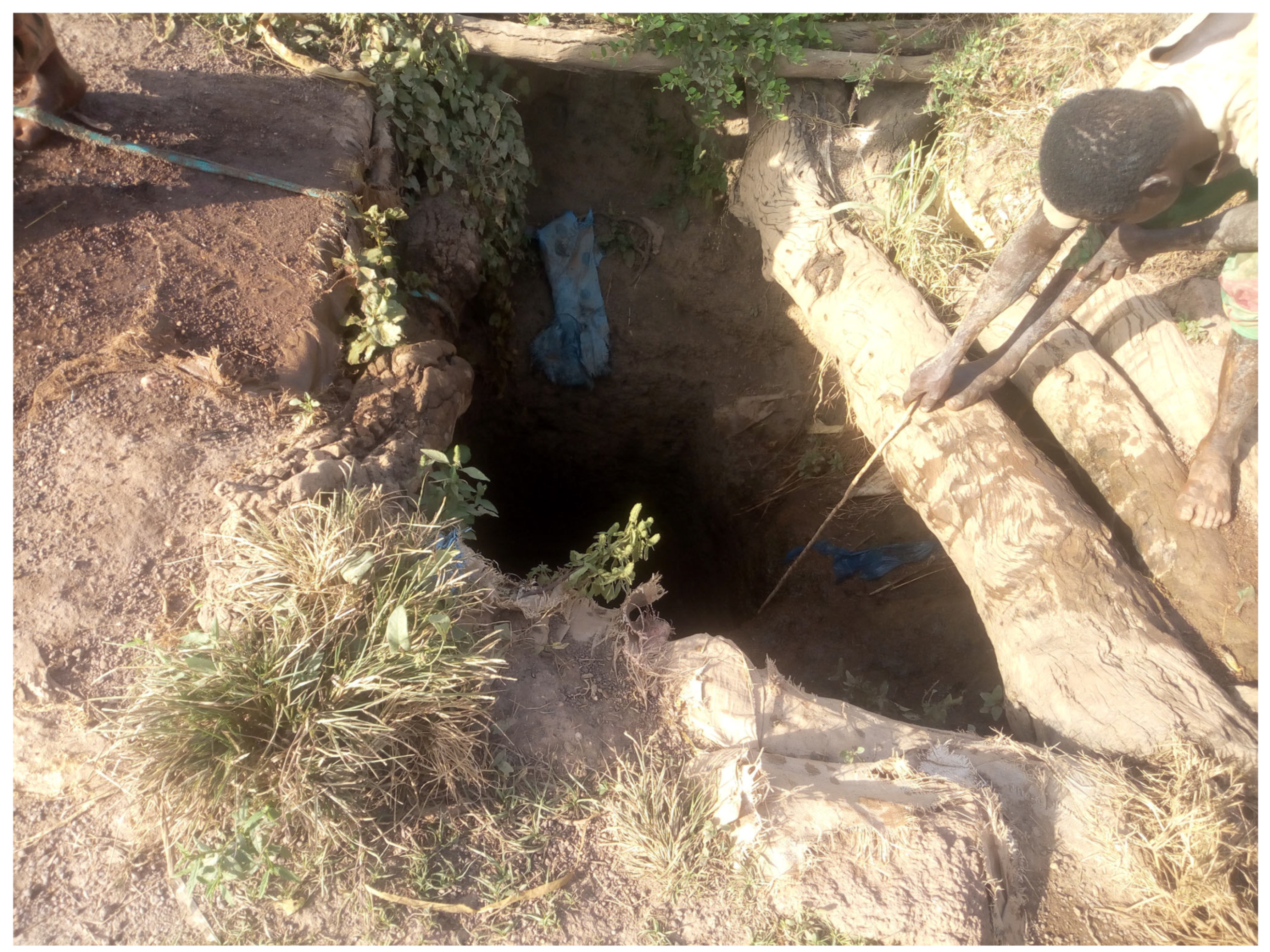 Ijerph 22 01125 g009