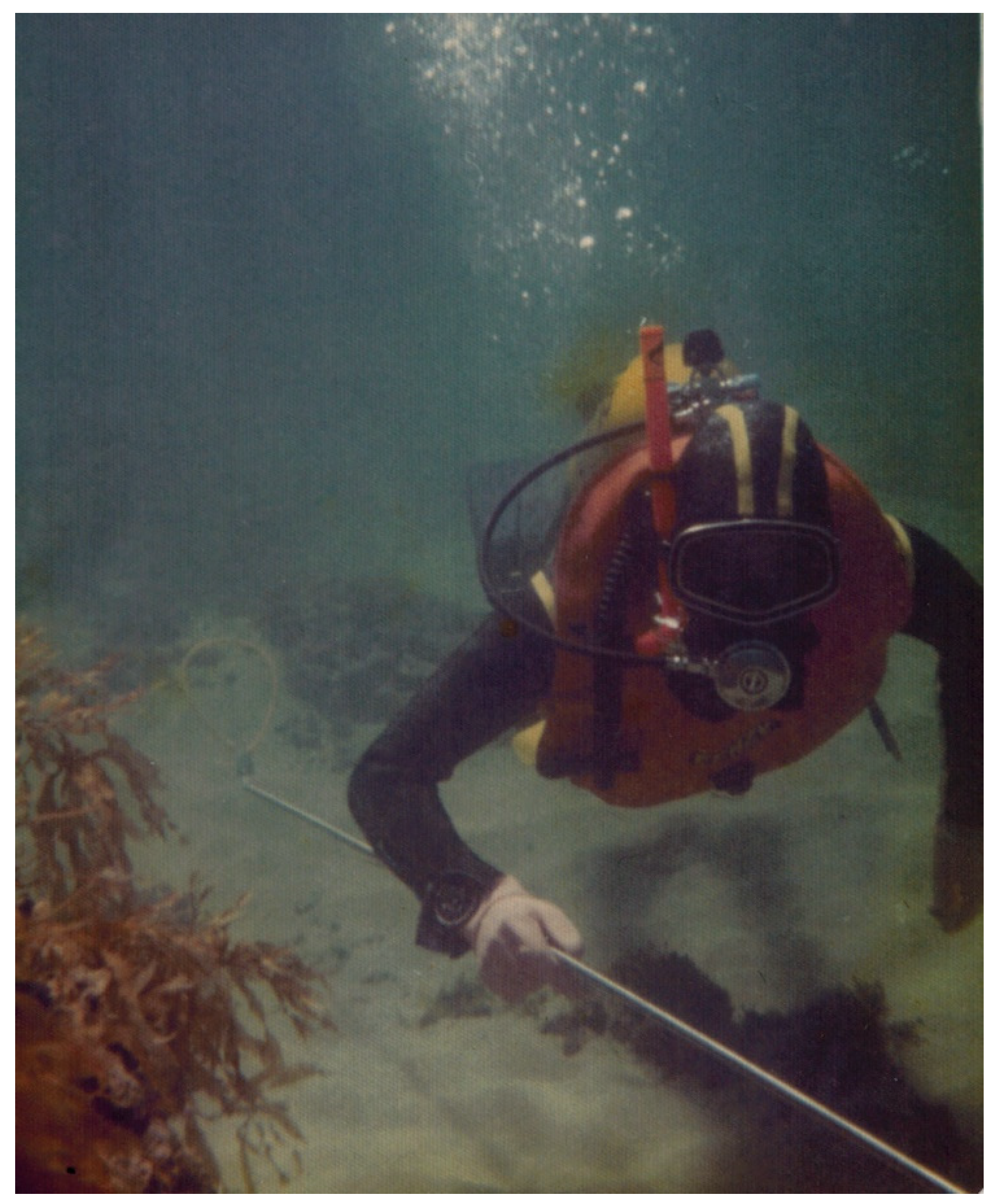 Ijerph 22 01148 g001