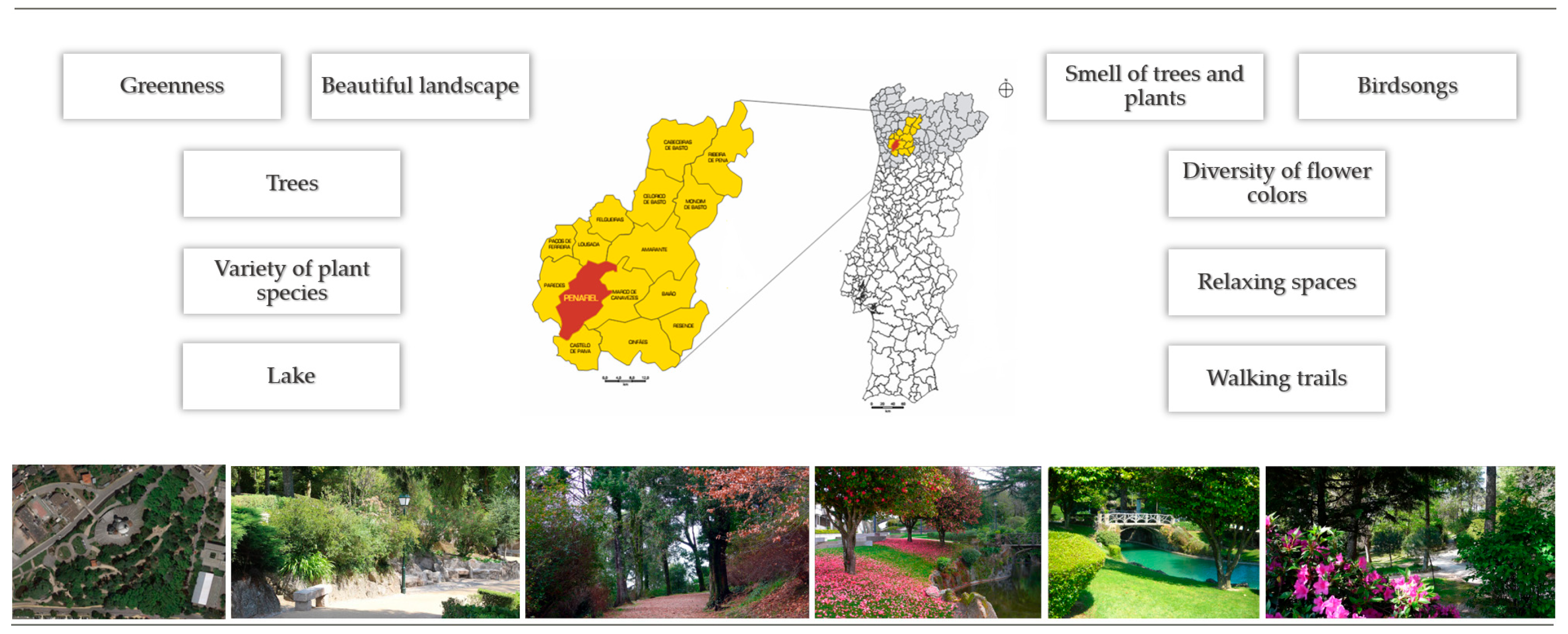 Ijerph 22 01216 g003