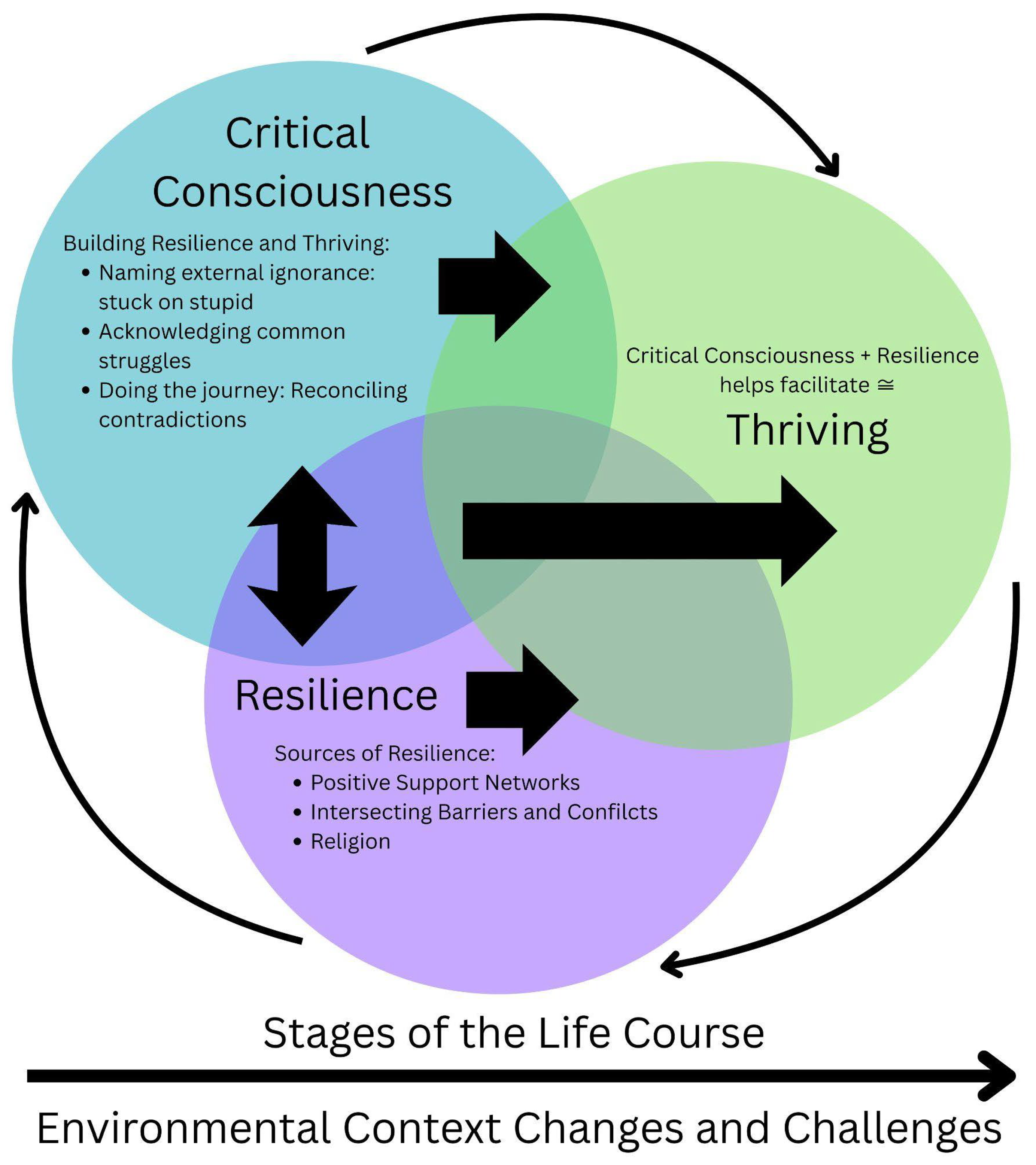 Ijerph 22 01226 g001