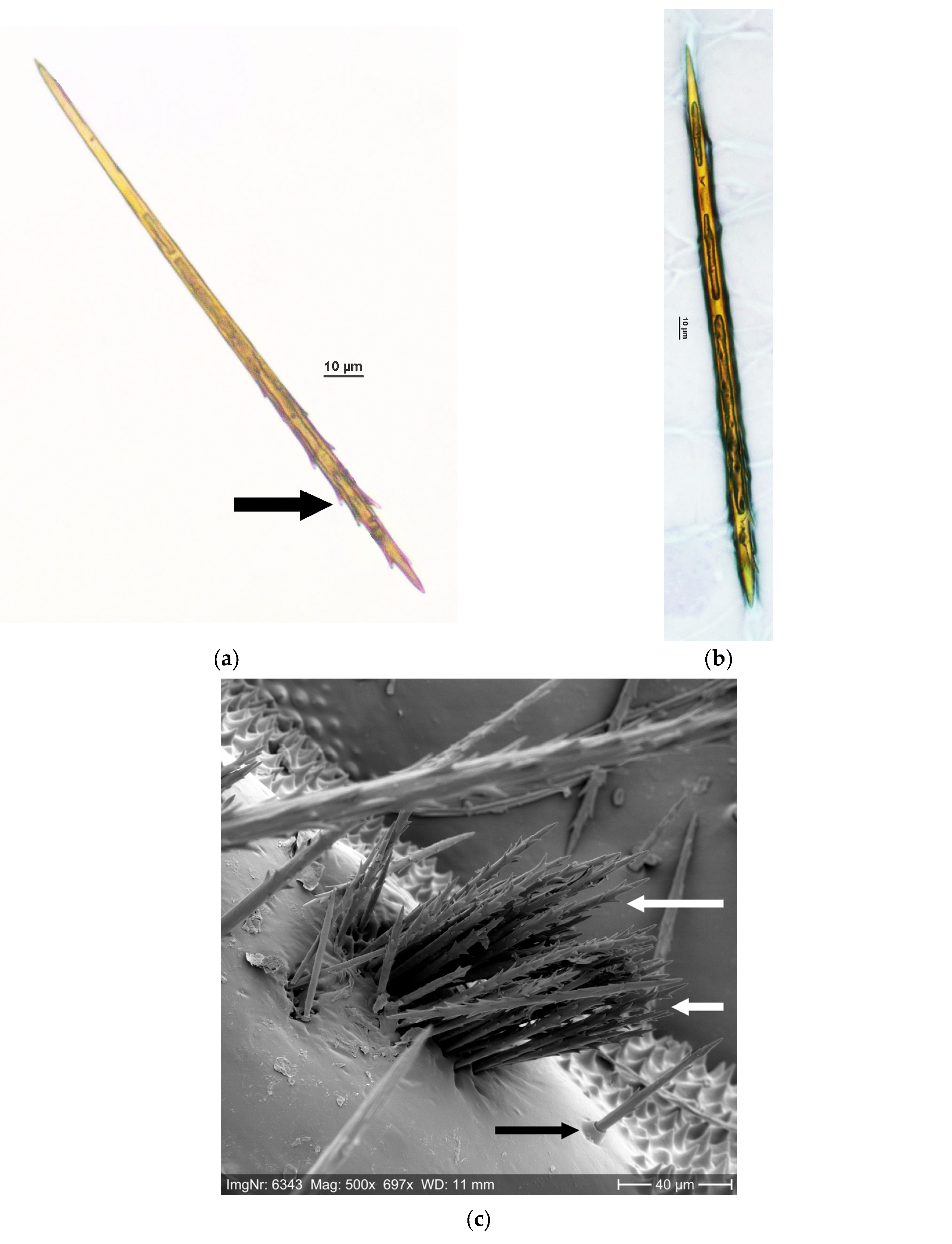 Ijerph 22 01361 g001a