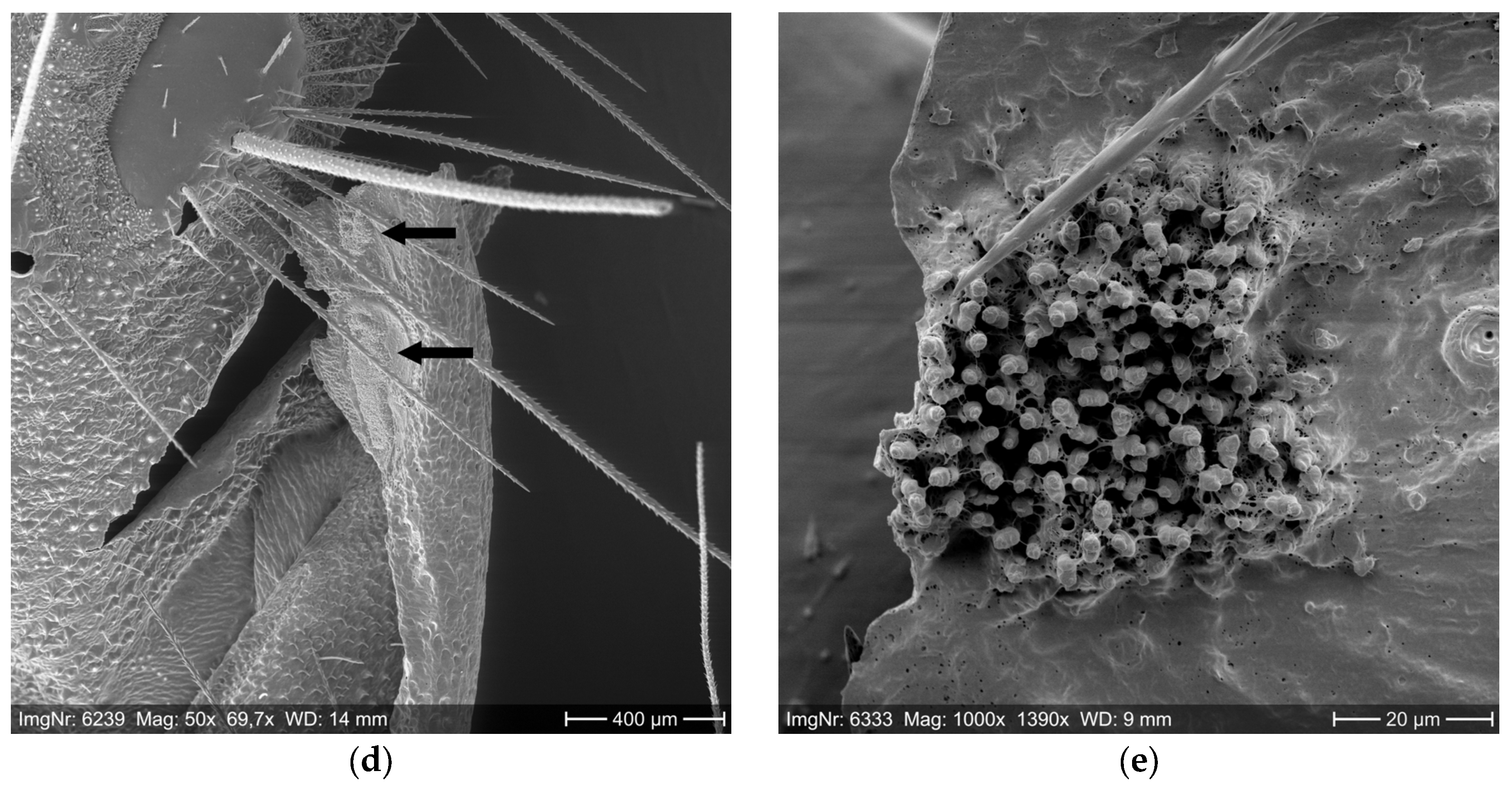 Ijerph 22 01361 g001b