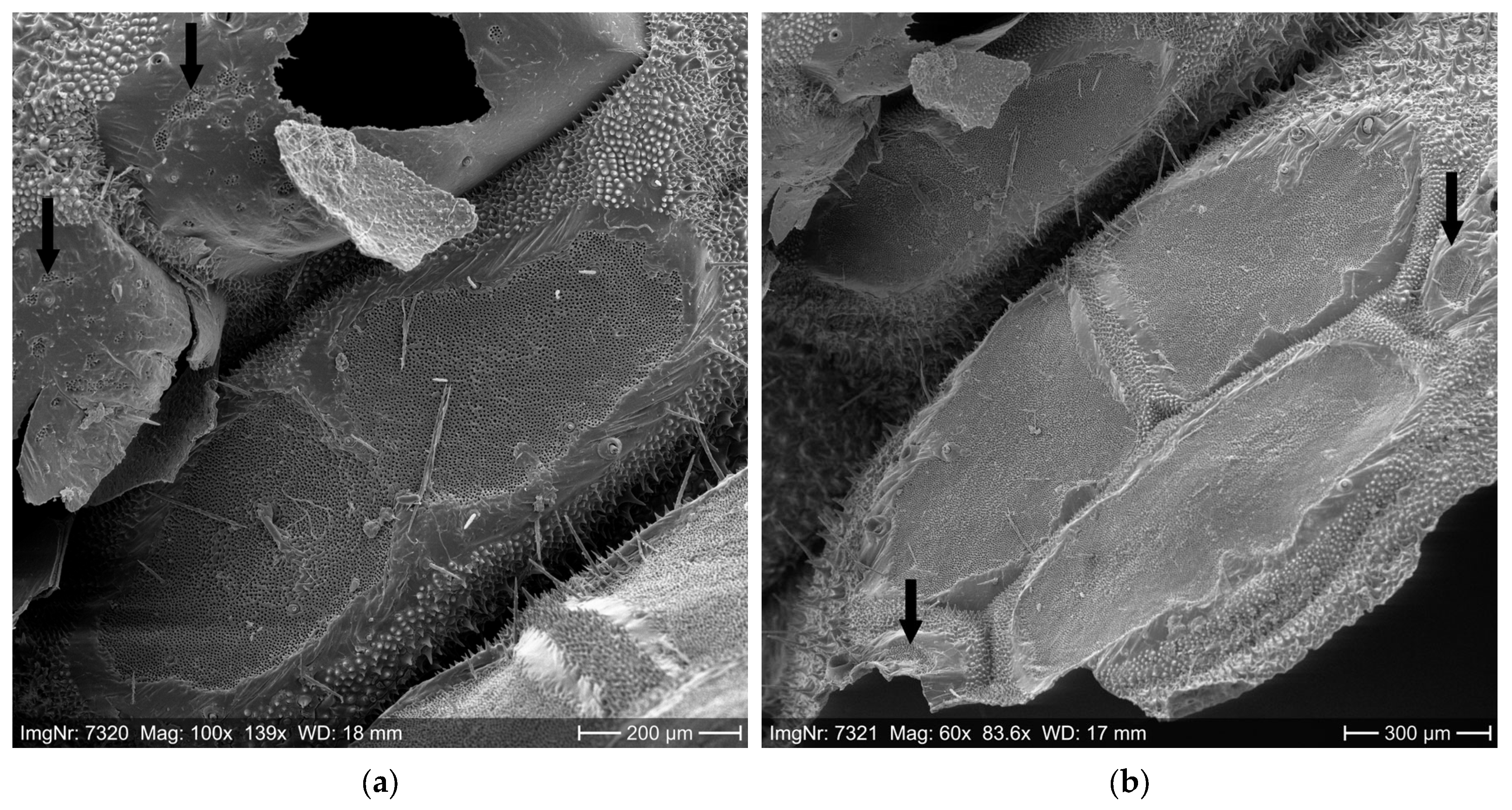 Ijerph 22 01361 g004a