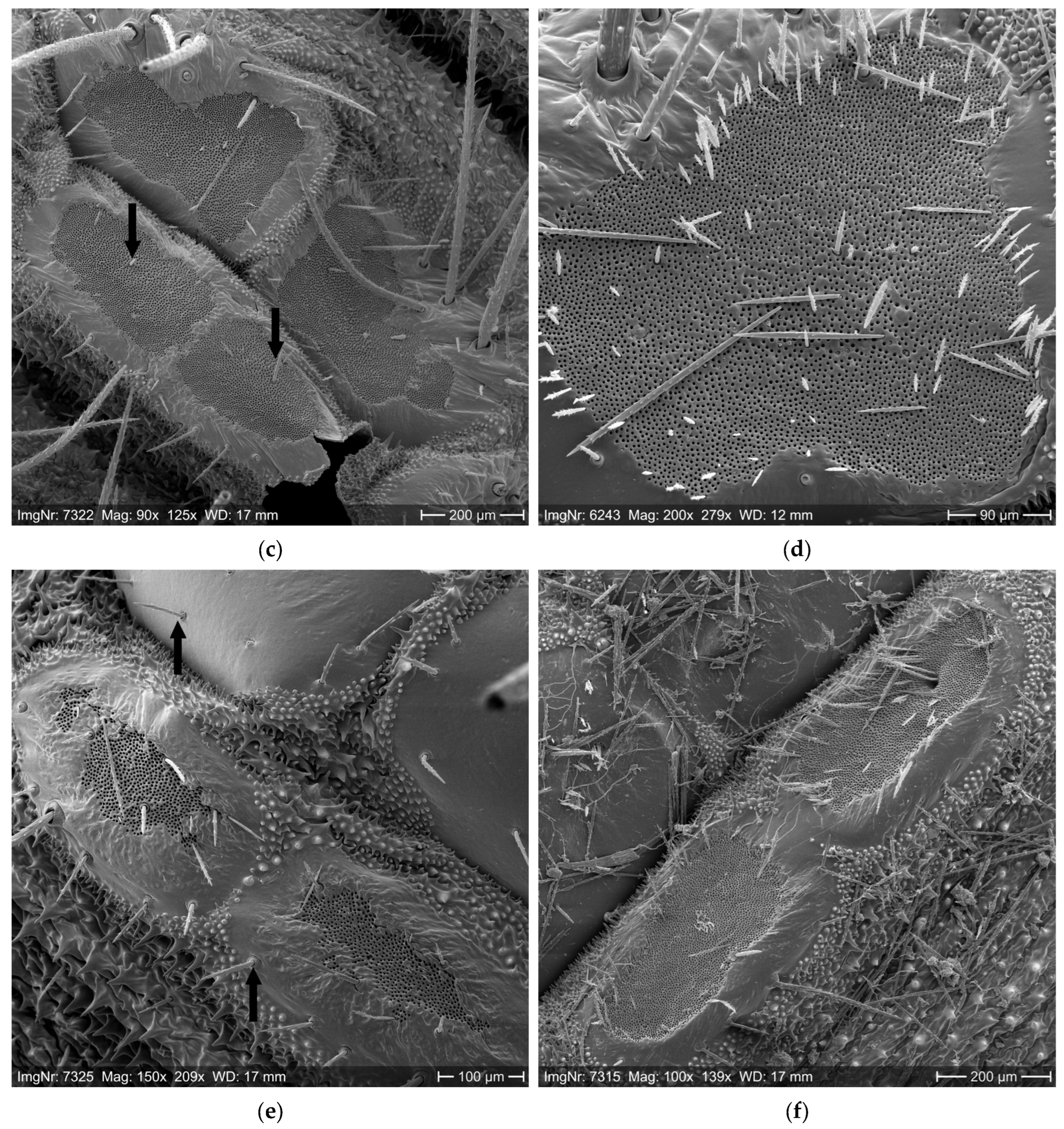 Ijerph 22 01361 g004b