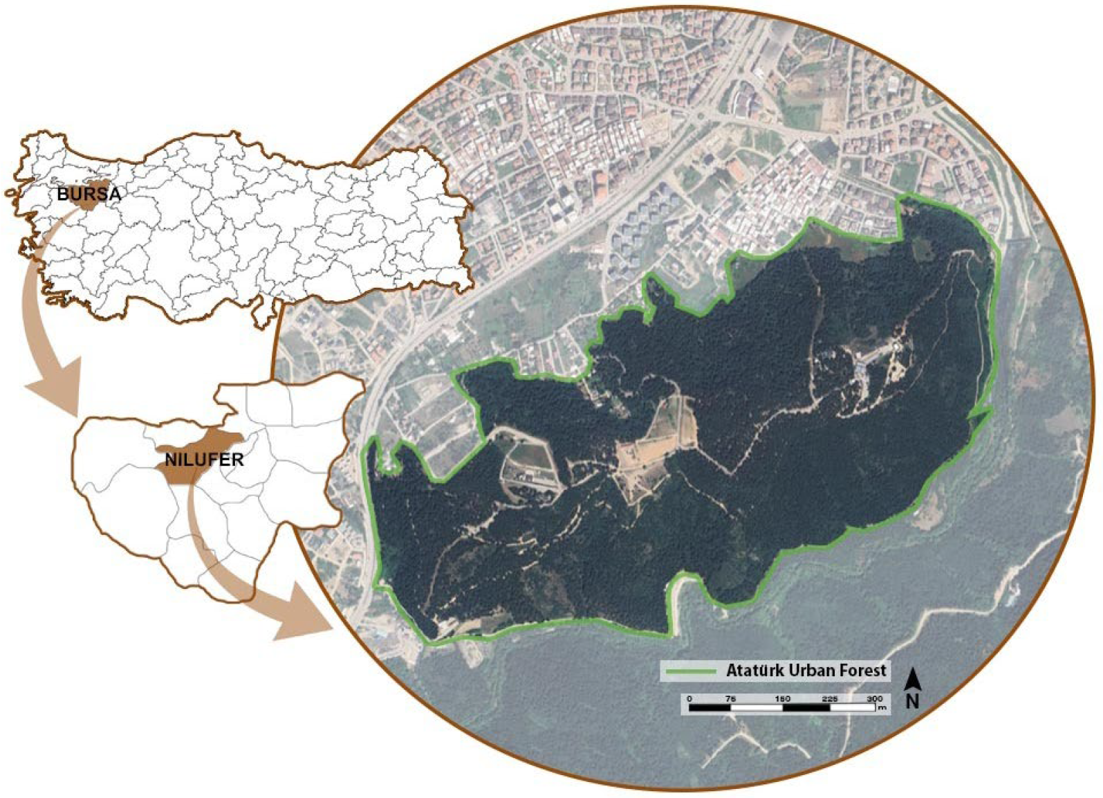 Ijerph 22 01401 g001