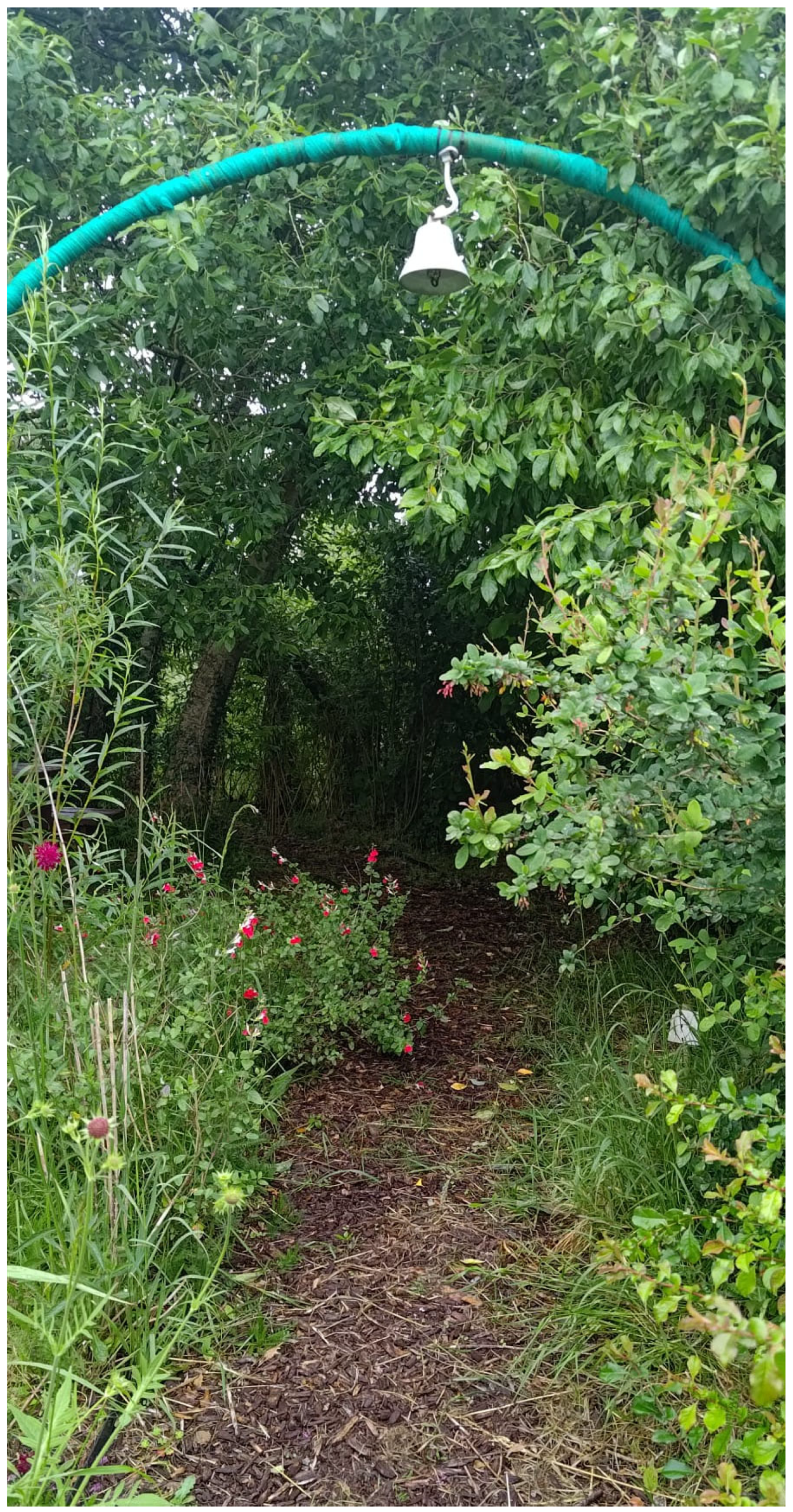 Ijerph 22 01410 g002