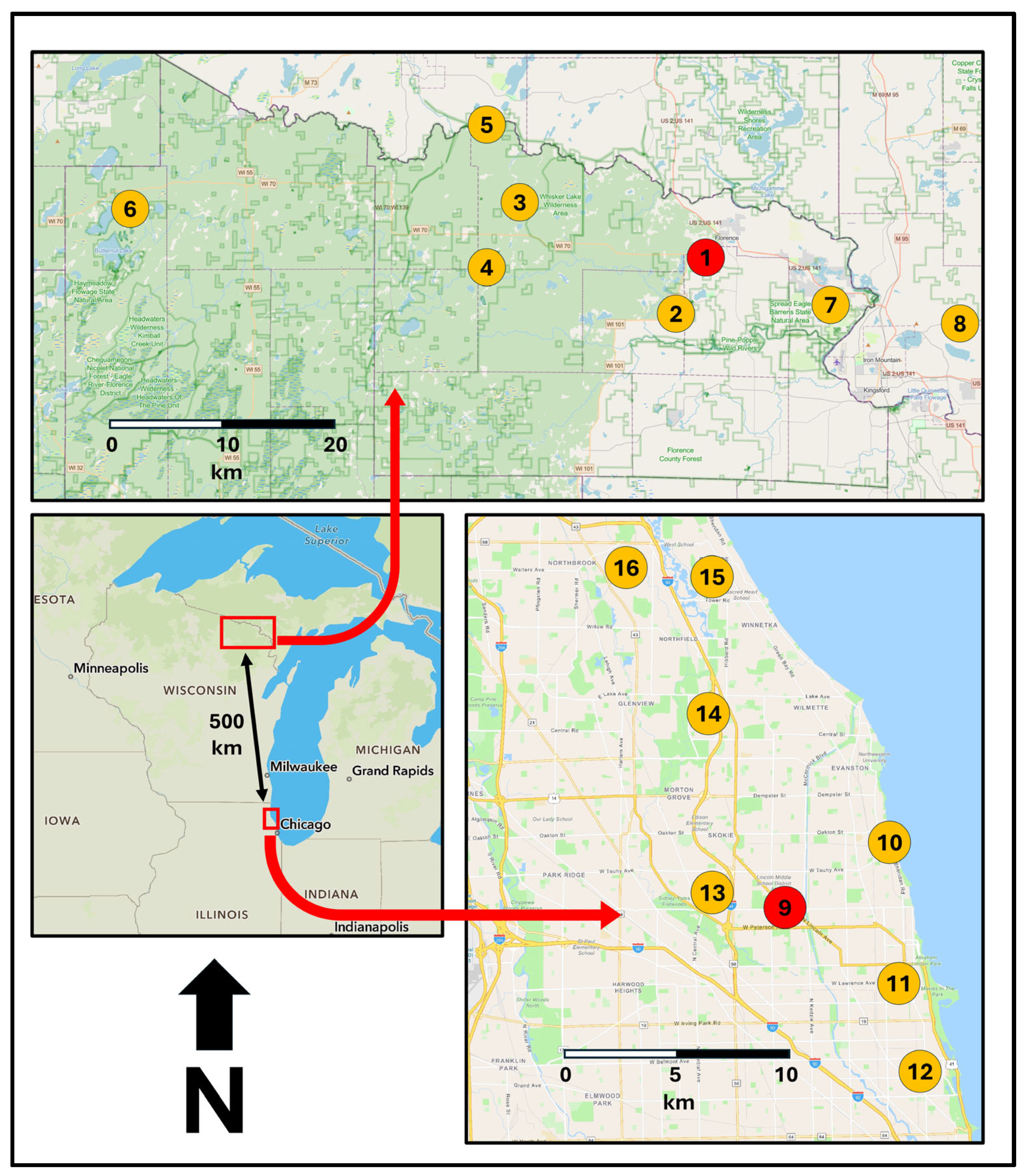 Ijerph 22 01440 g003