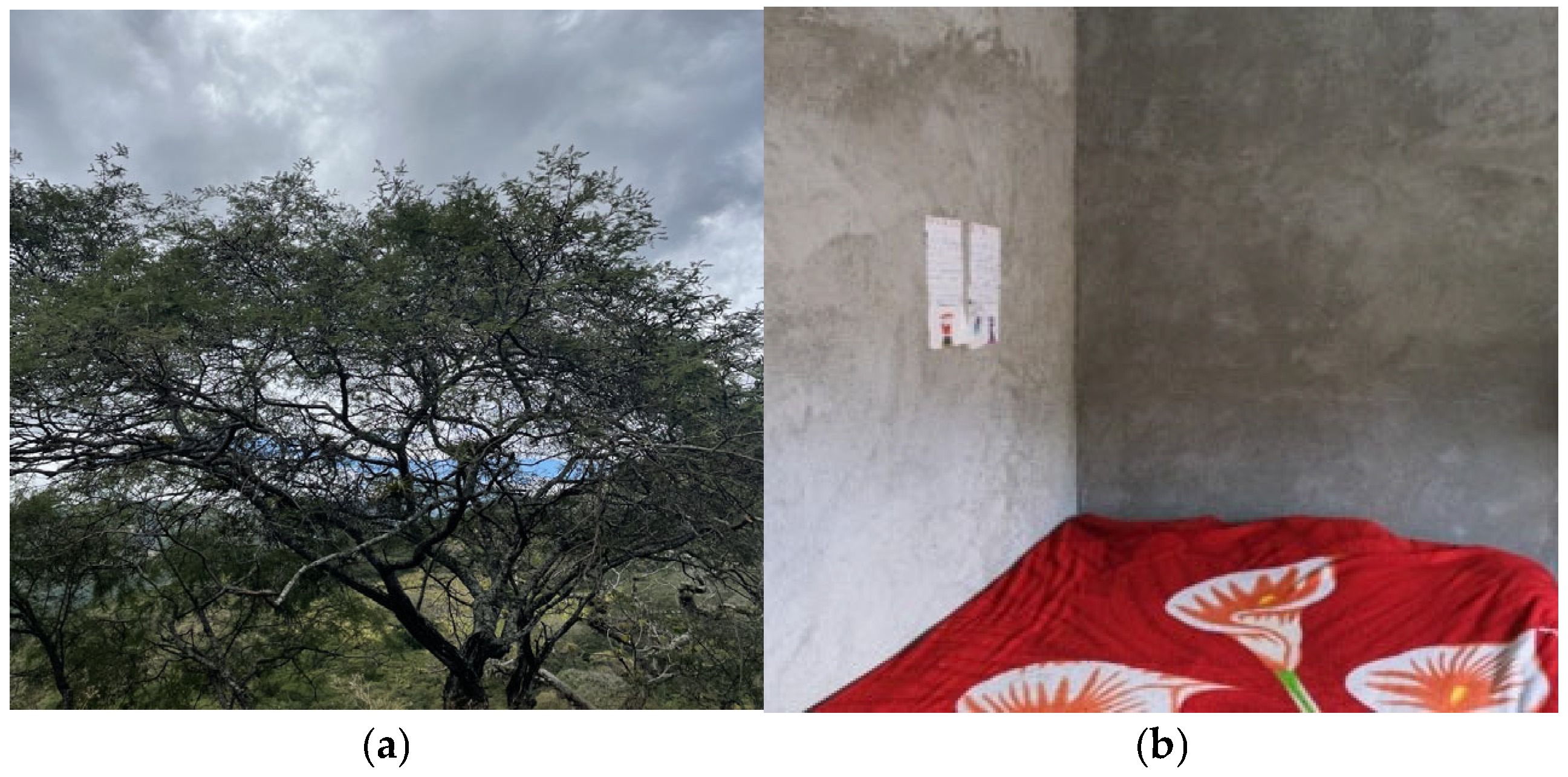 Ijerph 22 01471 g002a