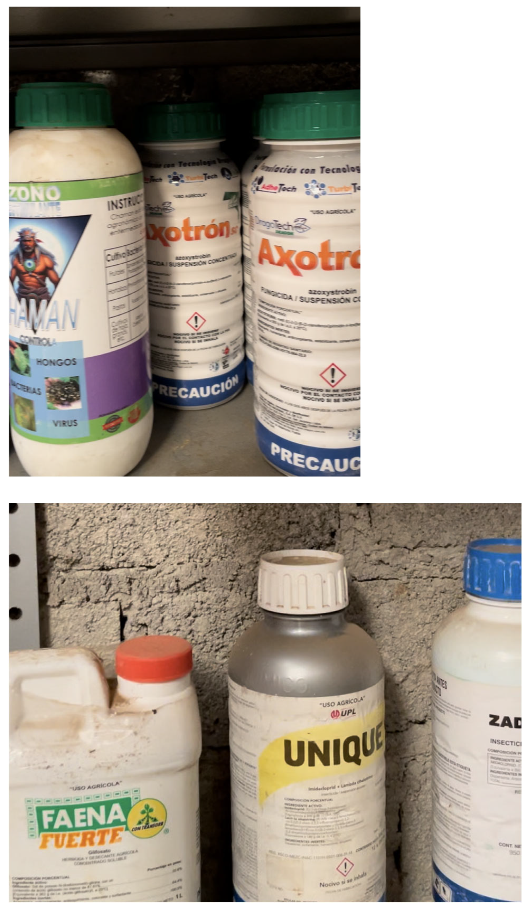 Ijerph 22 01527 g001