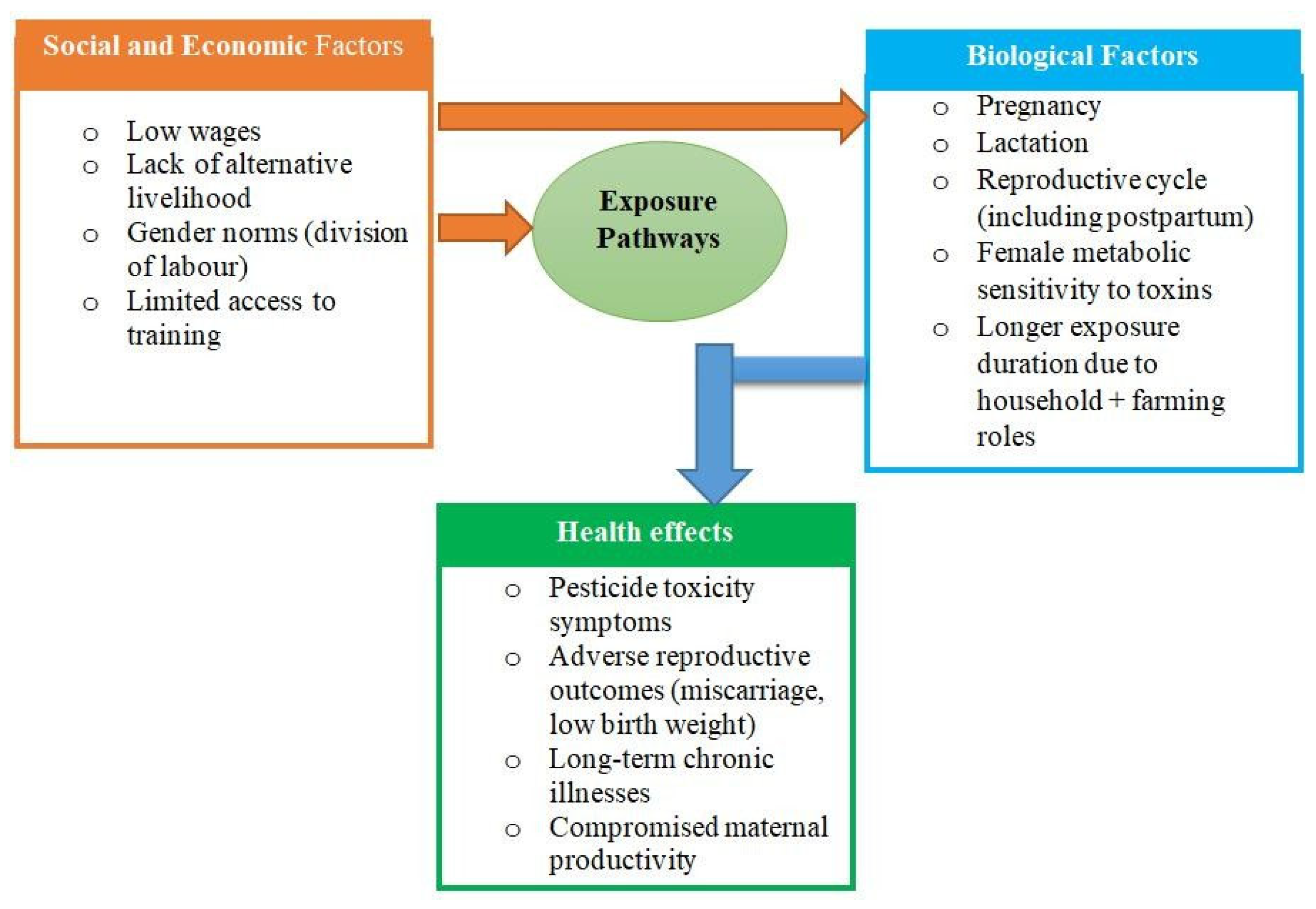 Ijerph 22 01529 g001