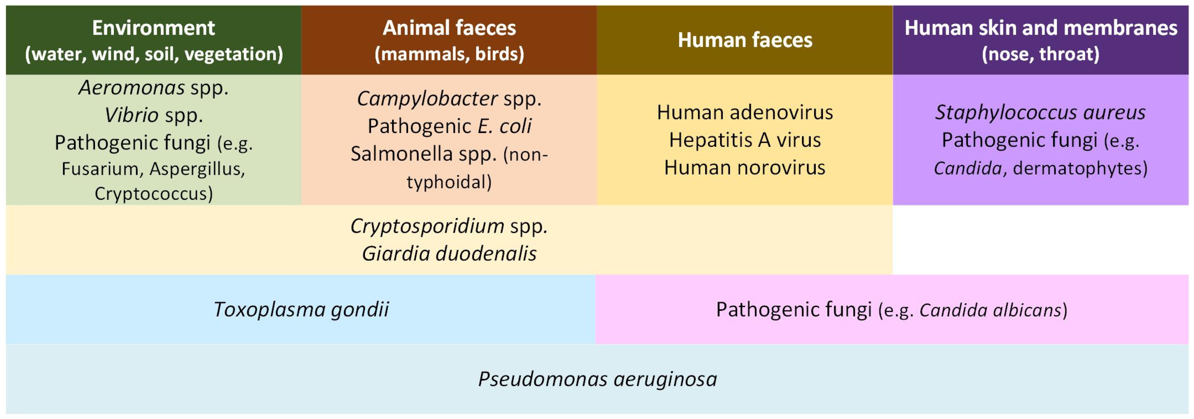 Ijerph 22 01537 g002 Ijerph 22 01537 g002
