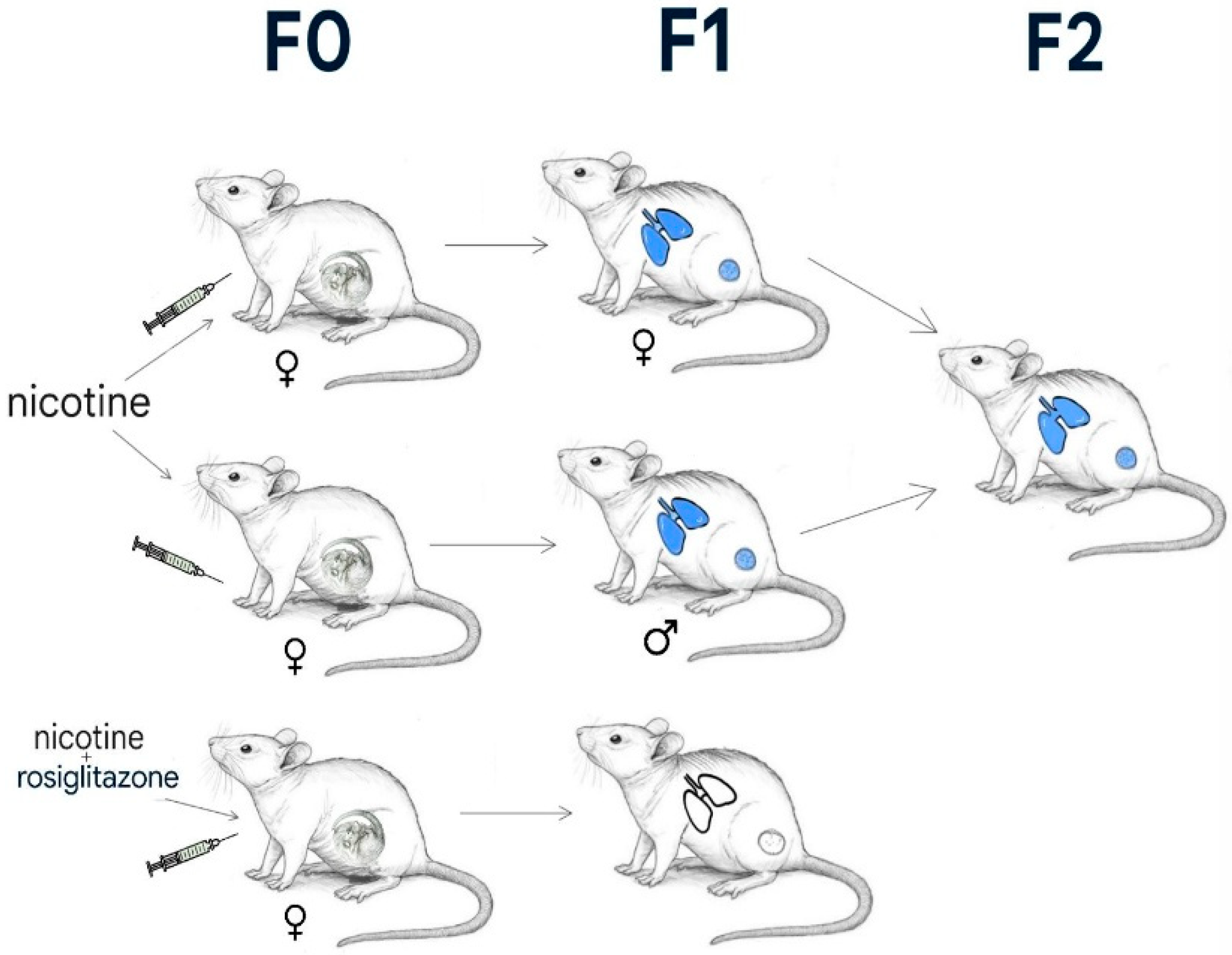 Ijerph 22 01622 g001