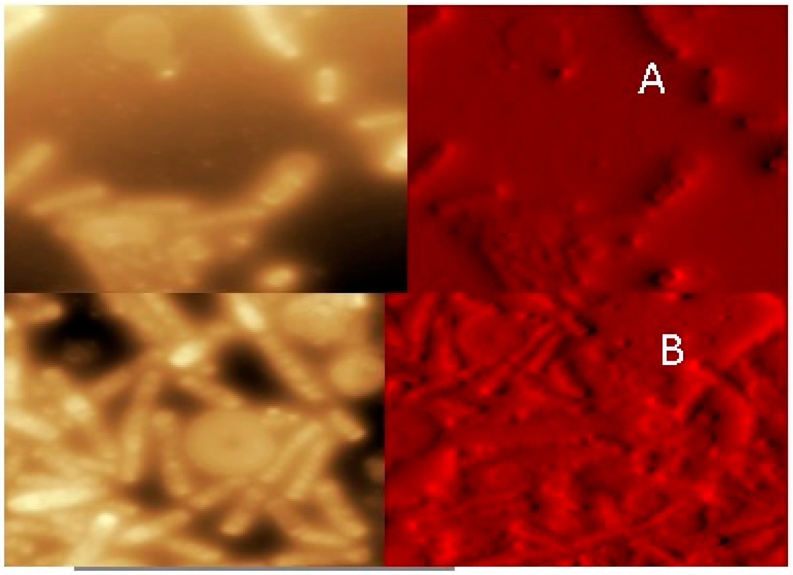 Ijerph 22 01675 g001 Ijerph 22 01675 g001