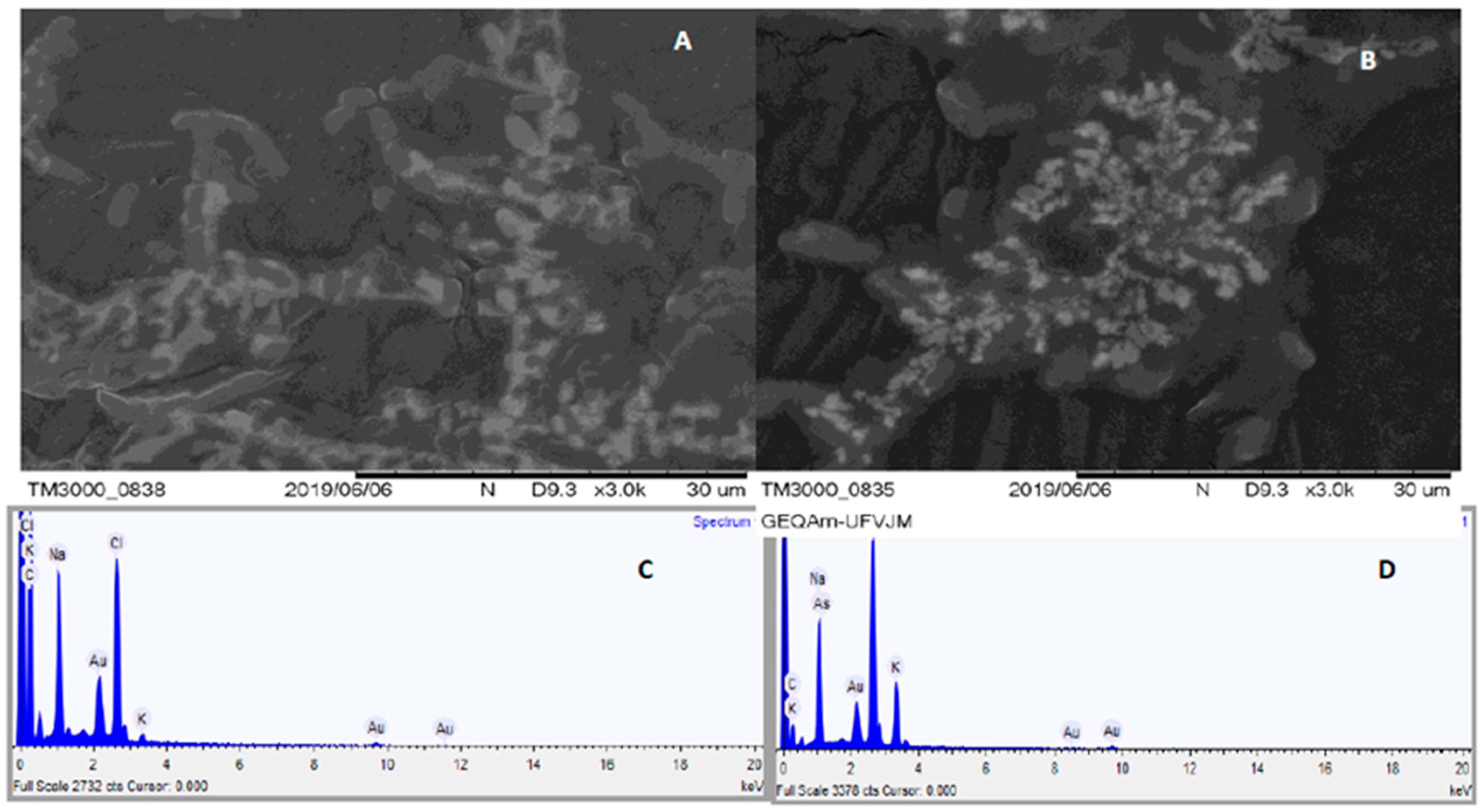 Ijerph 22 01675 g002 Ijerph 22 01675 g002
