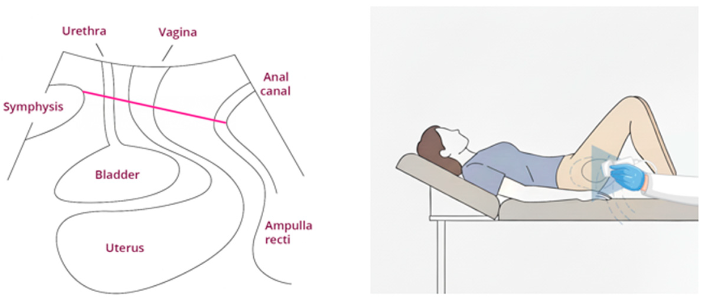 Ijerph 22 01703 g002