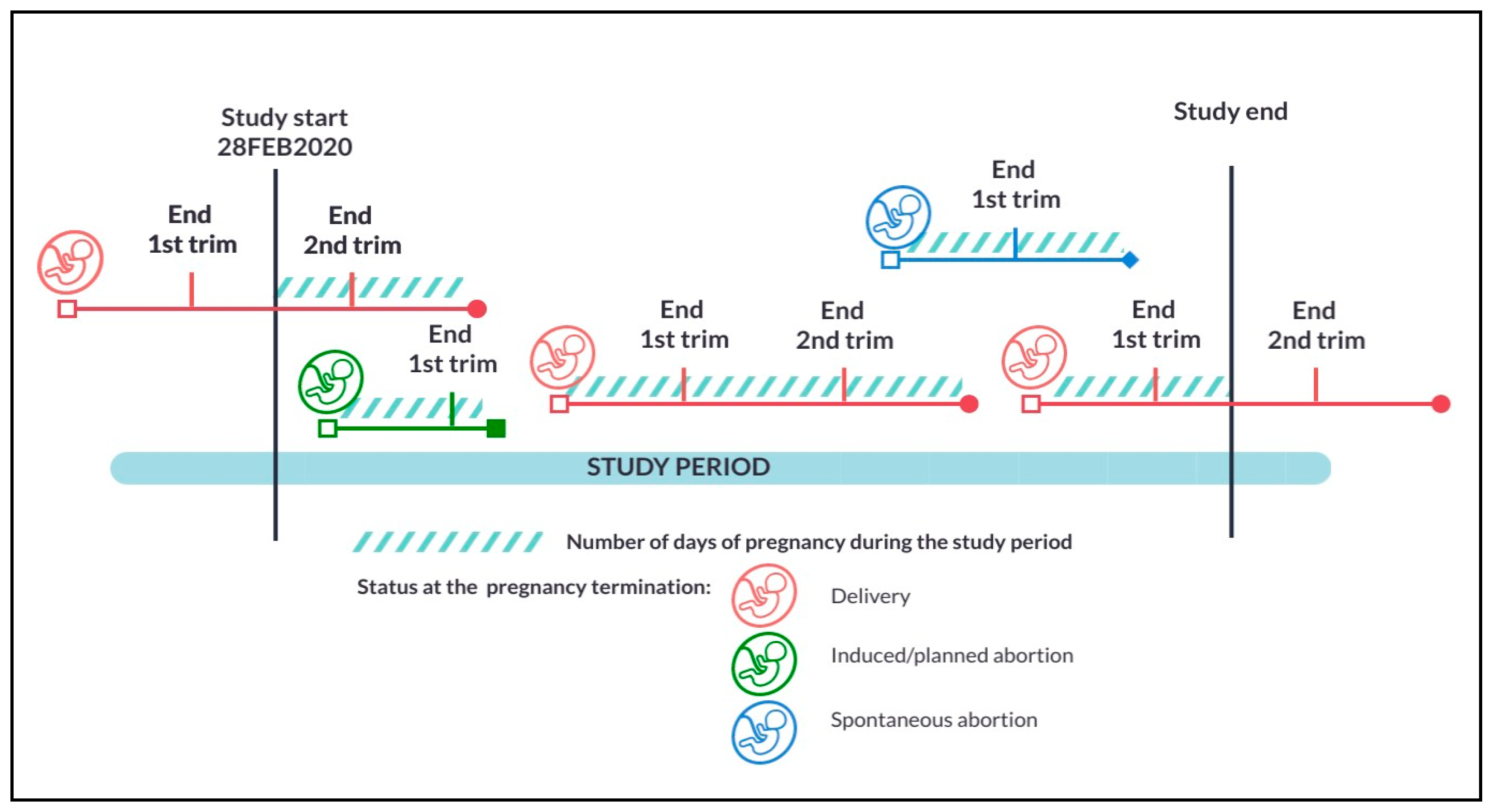 Ijerph 22 01756 g001 Ijerph 22 01756 g001