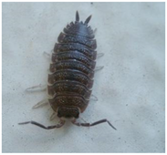 Ijerph 22 01805 i008