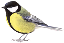 Ijerph 22 01805 i011