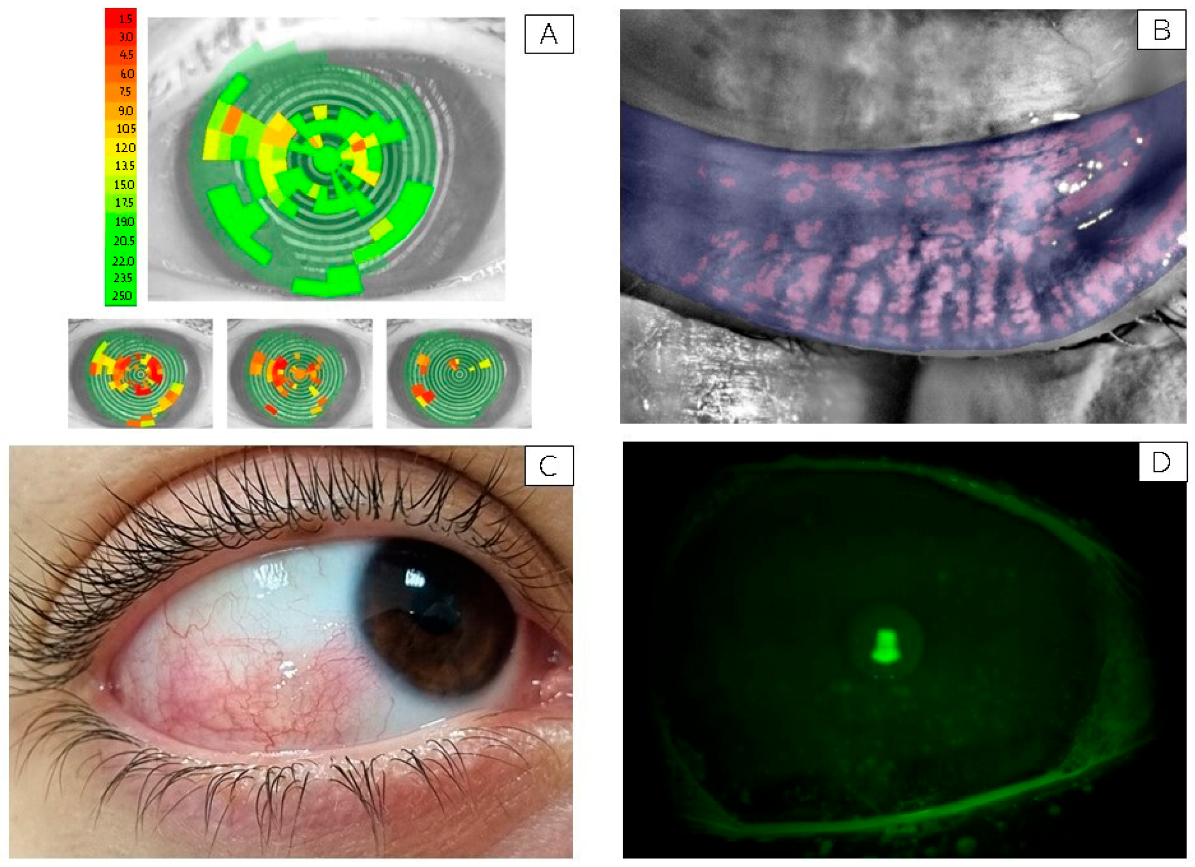 Ijerph 22 01818 g001