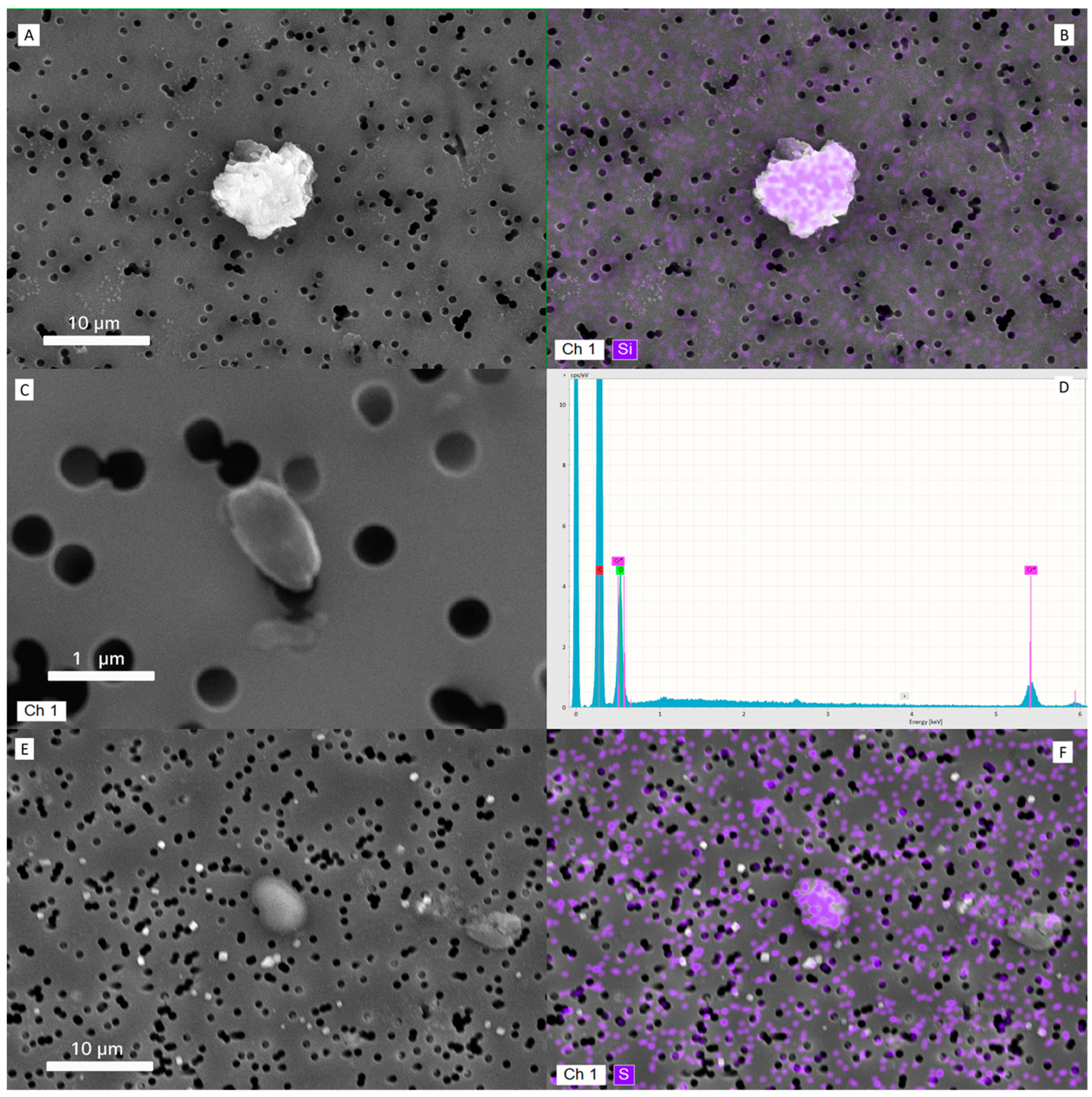 Ijerph 22 01818 g002