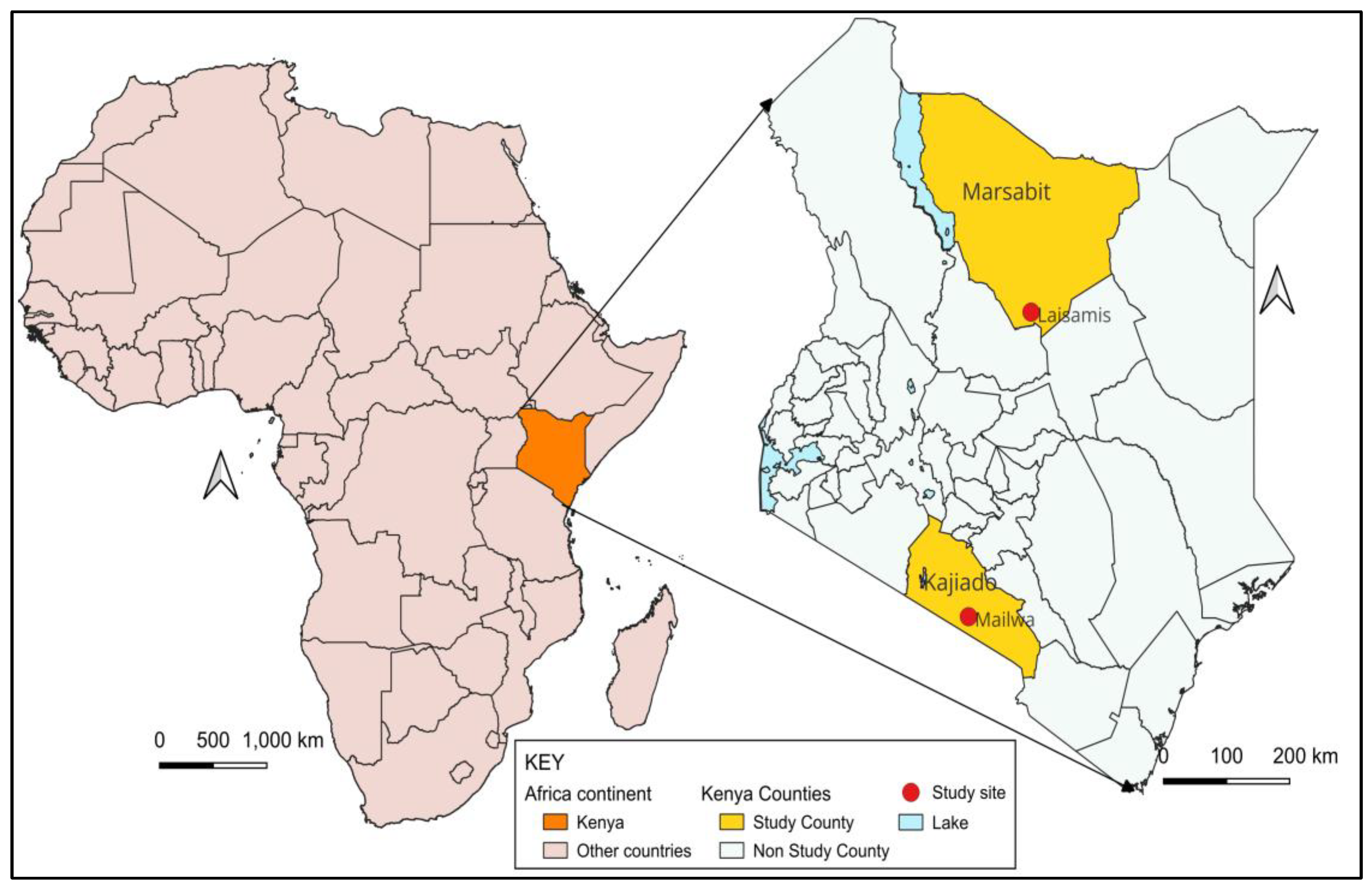 Ijerph 22 01859 g003