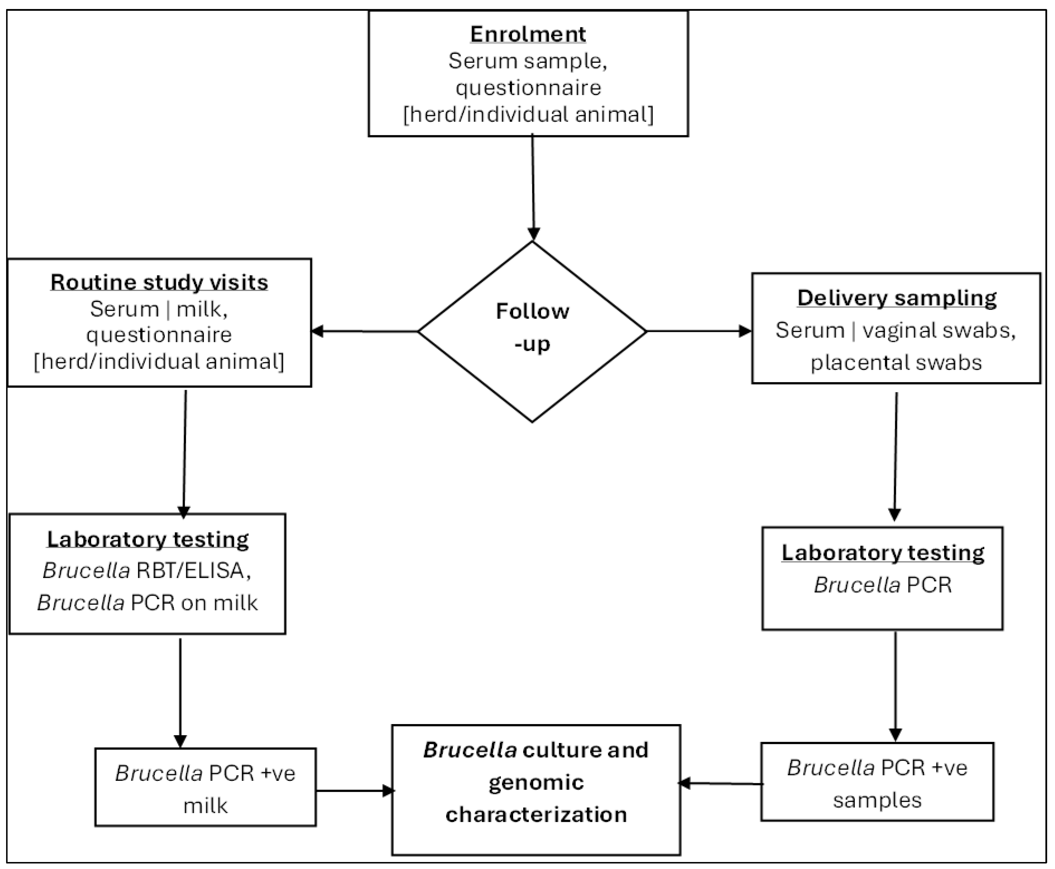 Ijerph 22 01859 g005
