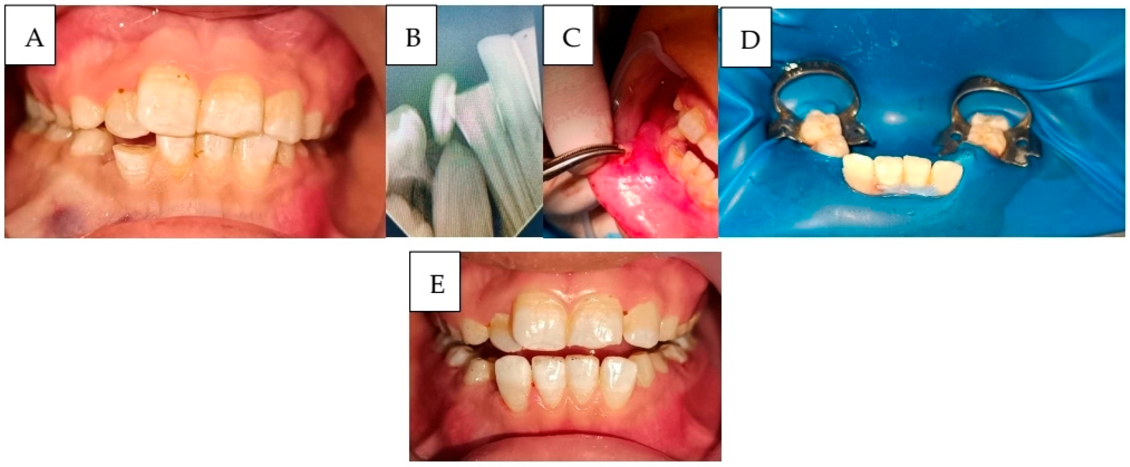 Ijerph 22 01864 g005