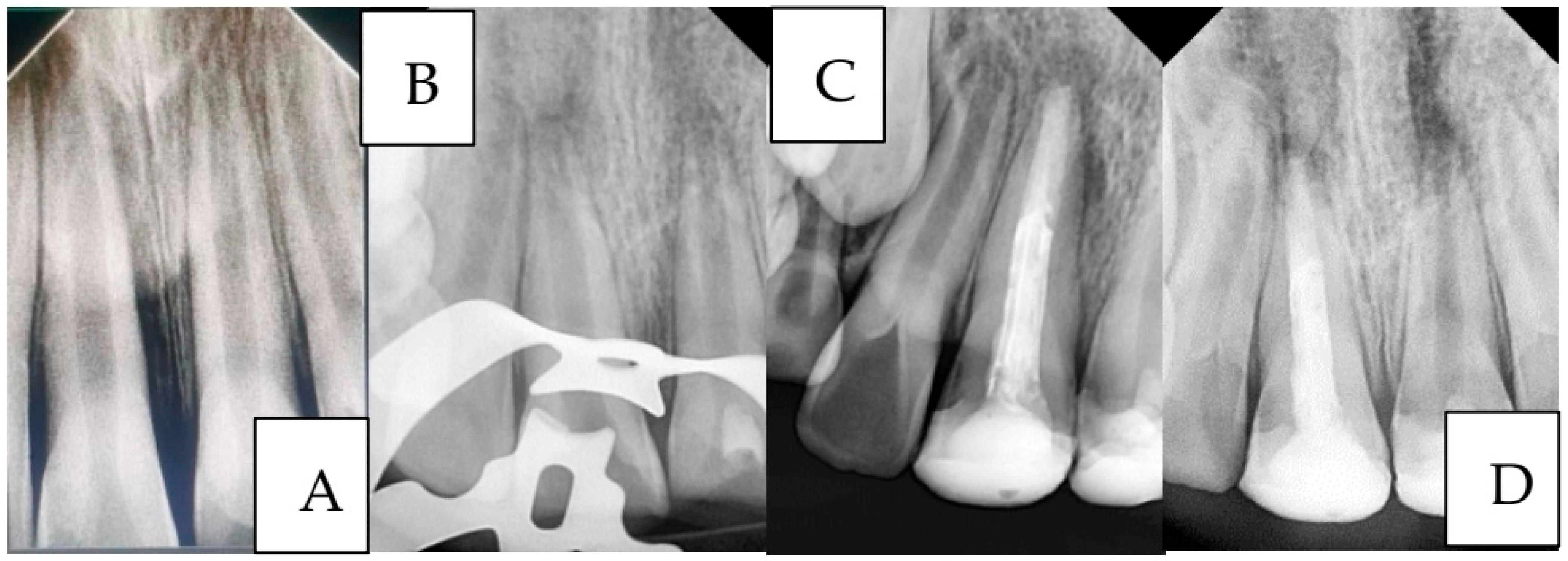 Ijerph 22 01864 g006
