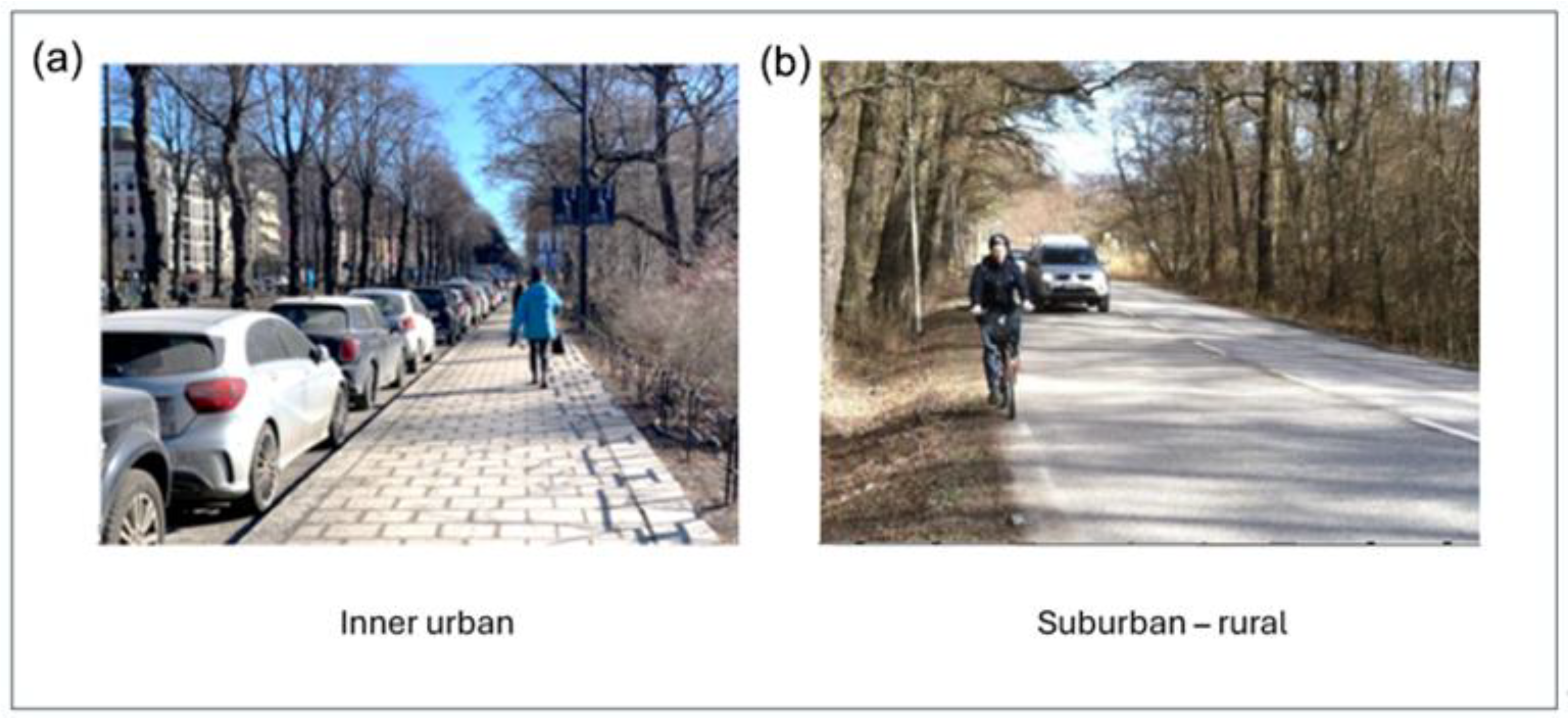 Ijerph 23 00206 g003