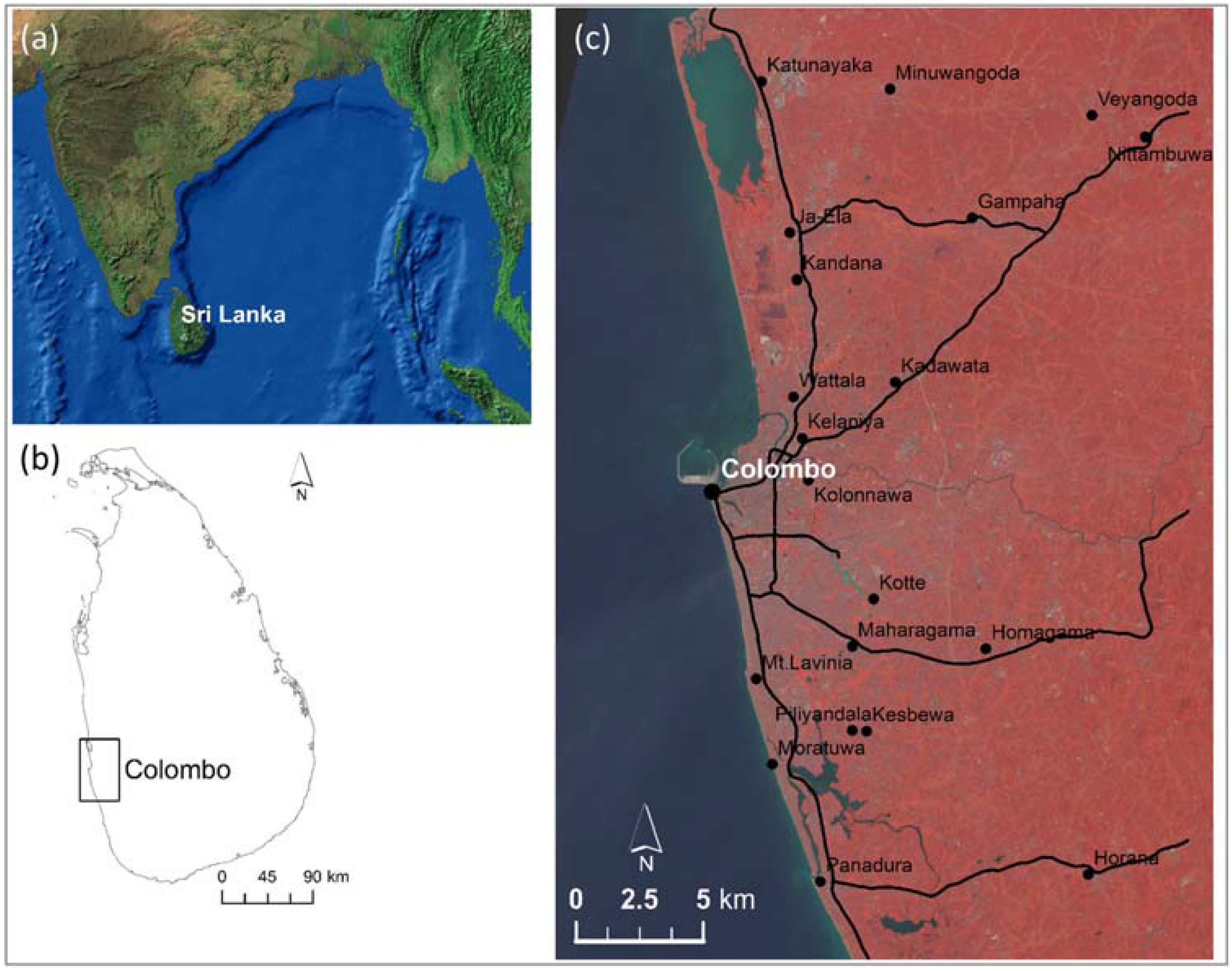 Colombo vs Mumbai  city of ancient traders 