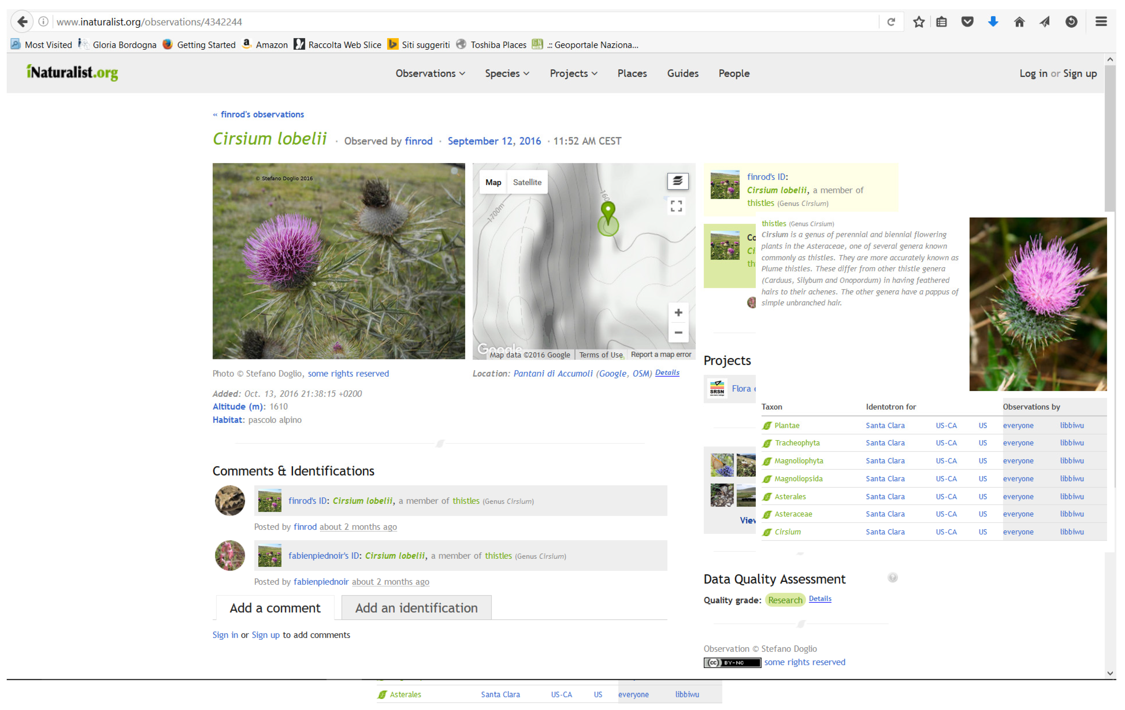 Ijgi 05 00234 g001 550