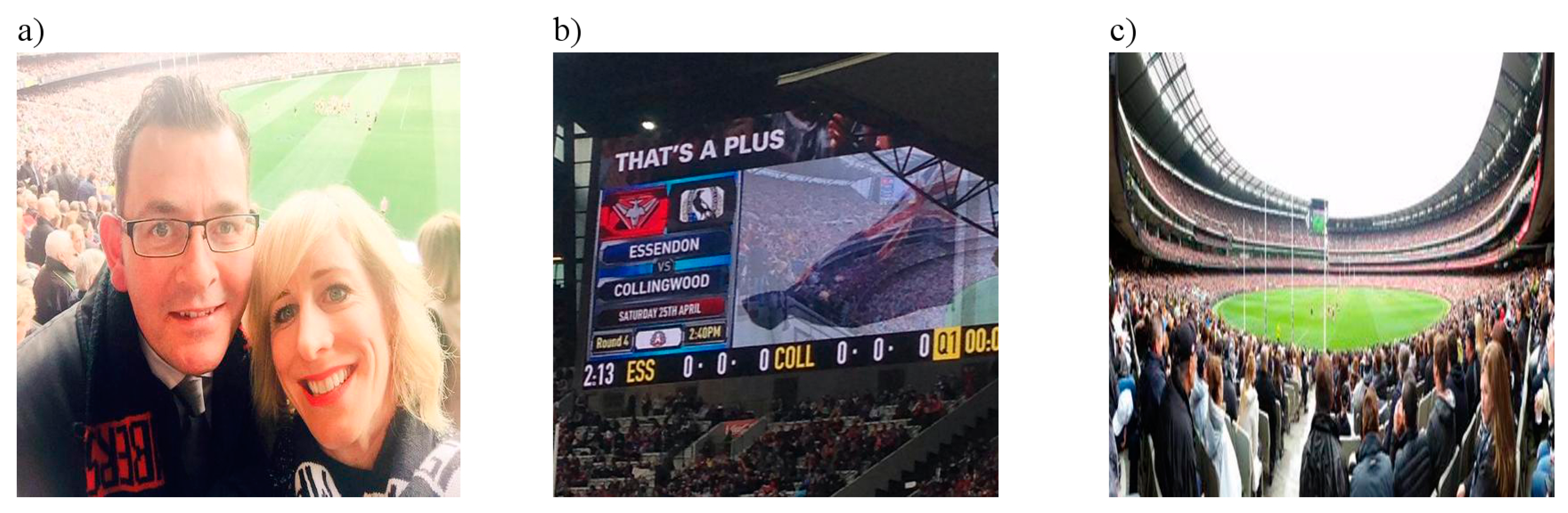 Ijgi 06 00120 g013 550