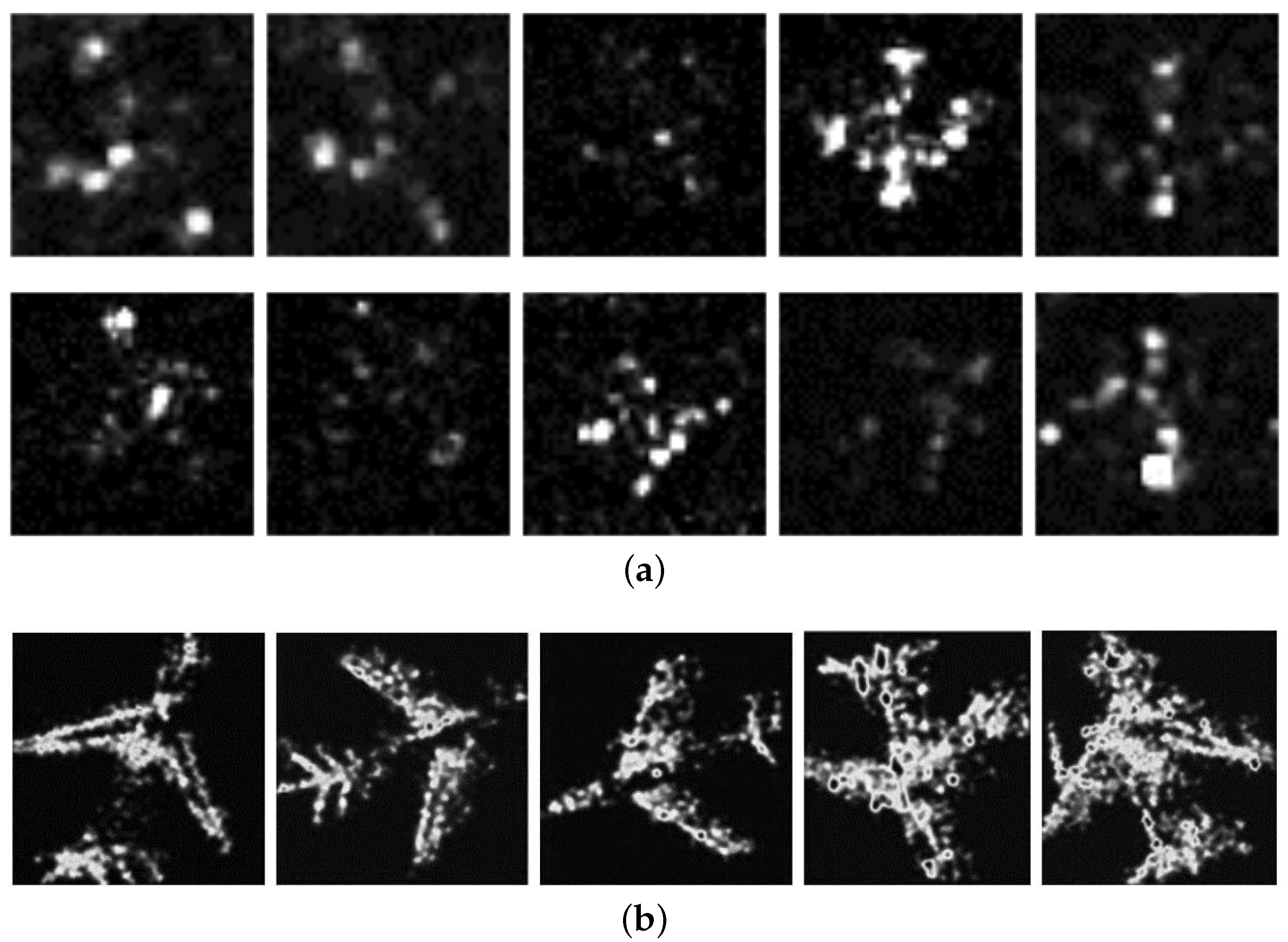 Ijgi 06 00330 g001 550