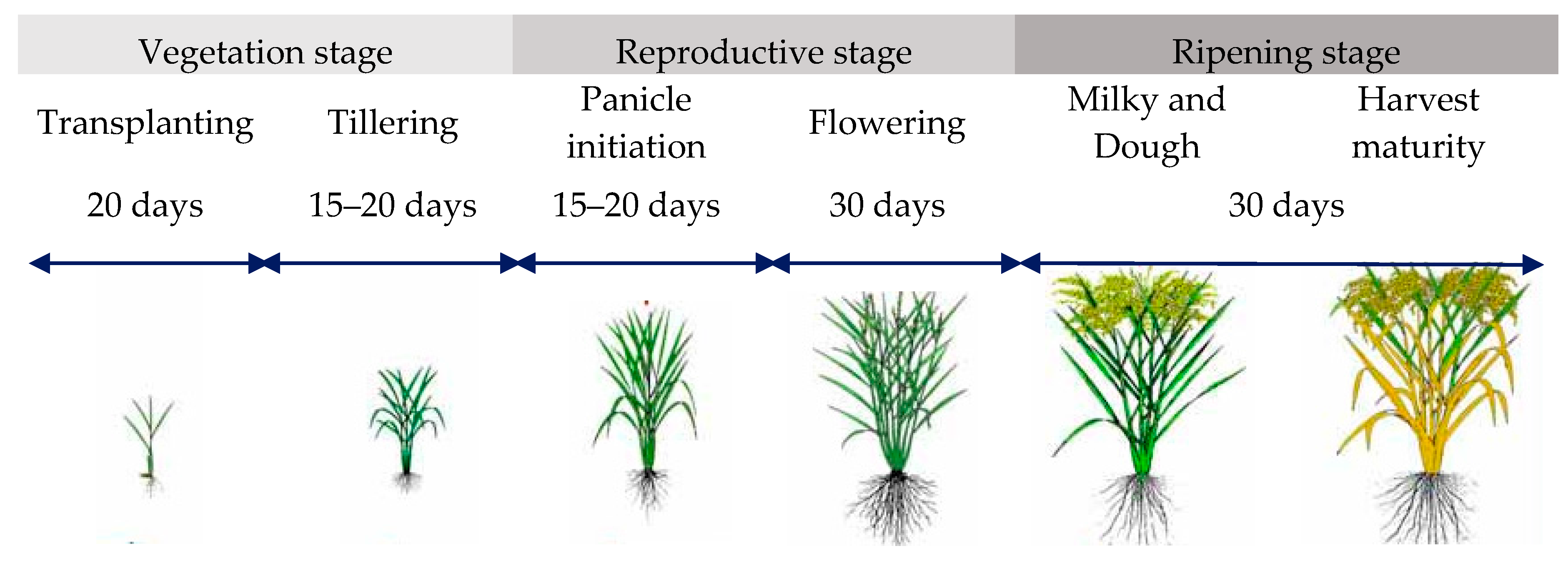Ijgi 07 00073 g003 550