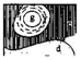 Ijgi 07 00267 i013