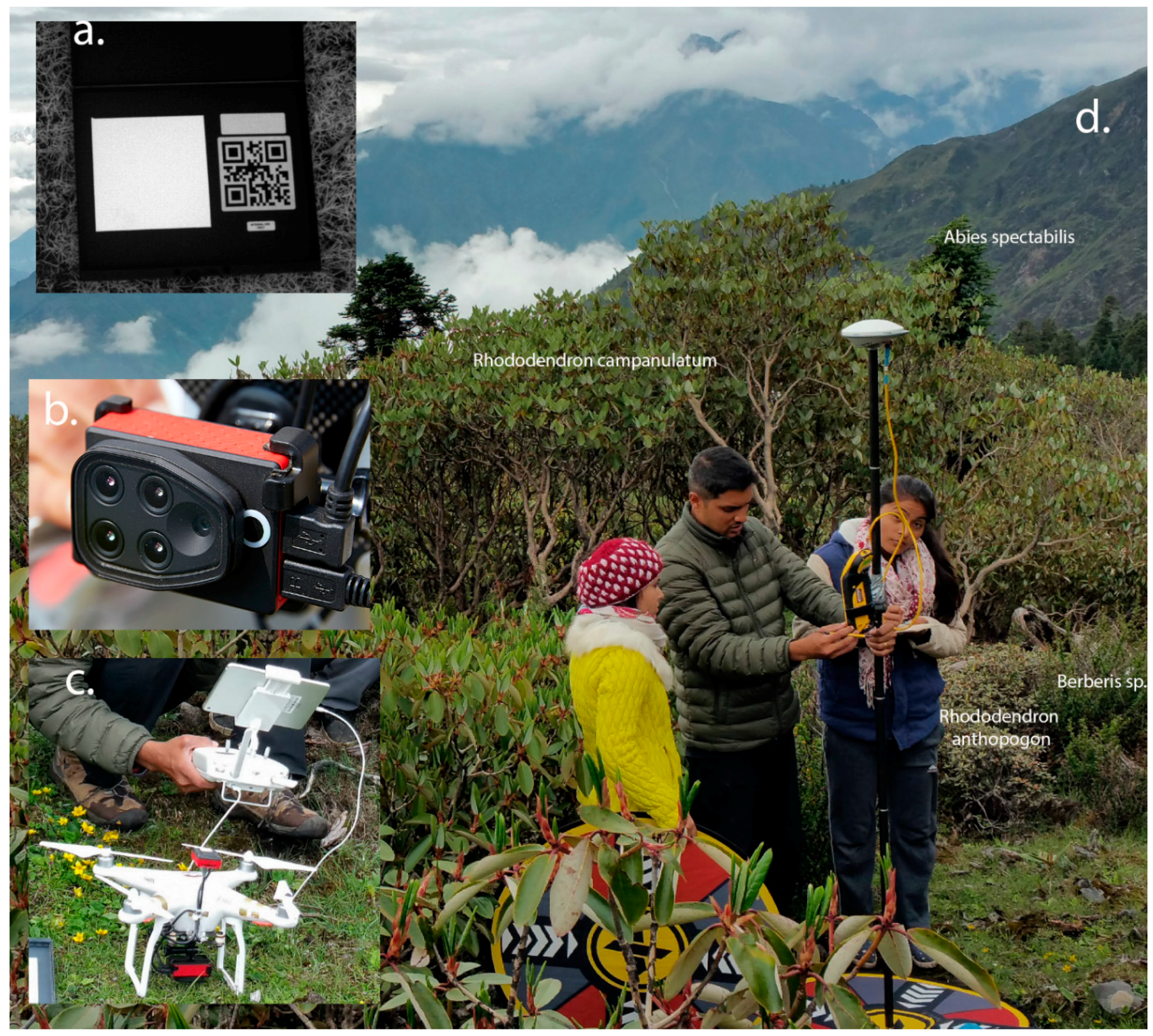 Ijgi 07 00445 g002 Ijgi 07 00445 g002