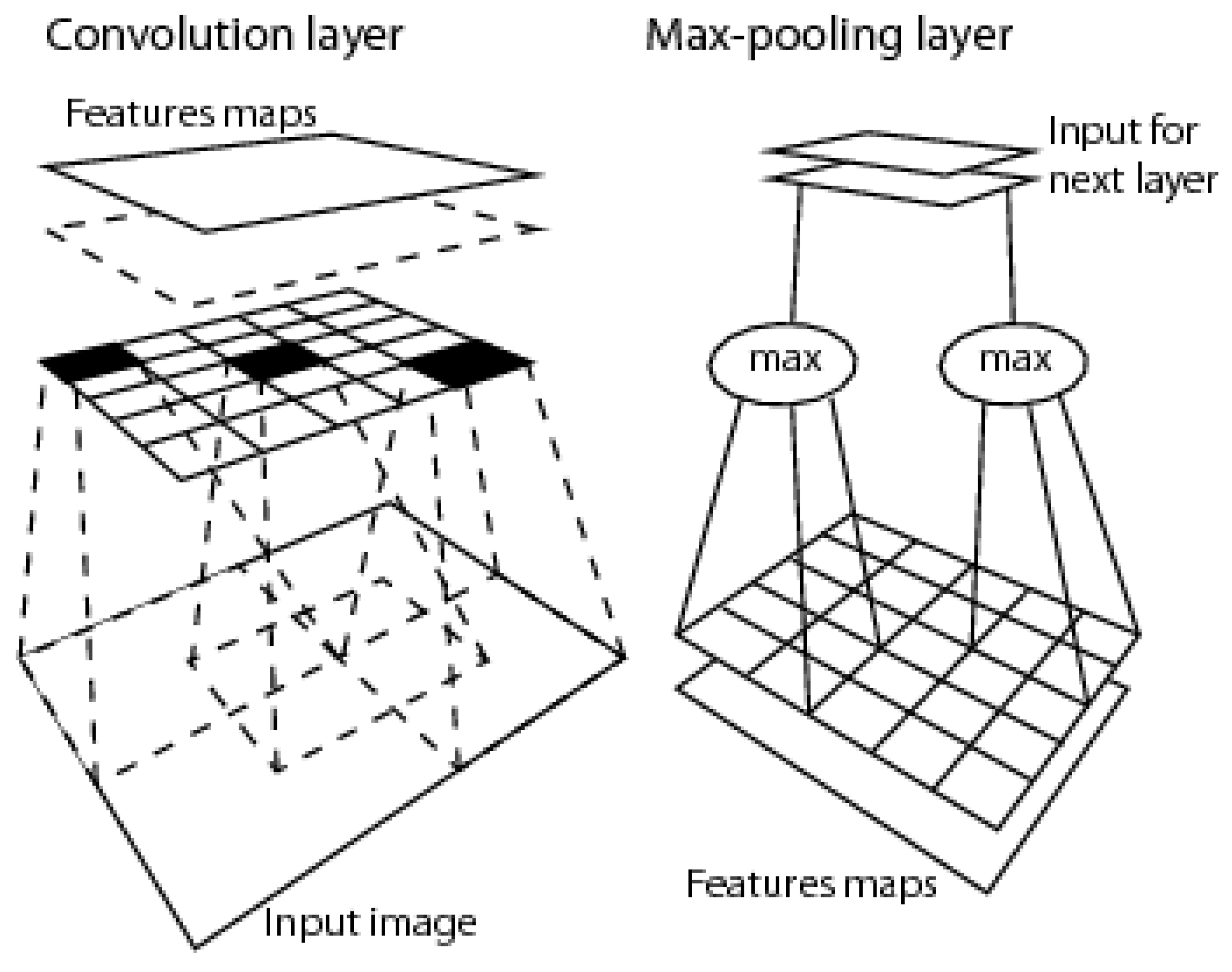 2D image analysis, synonym of spatial topology-preserving