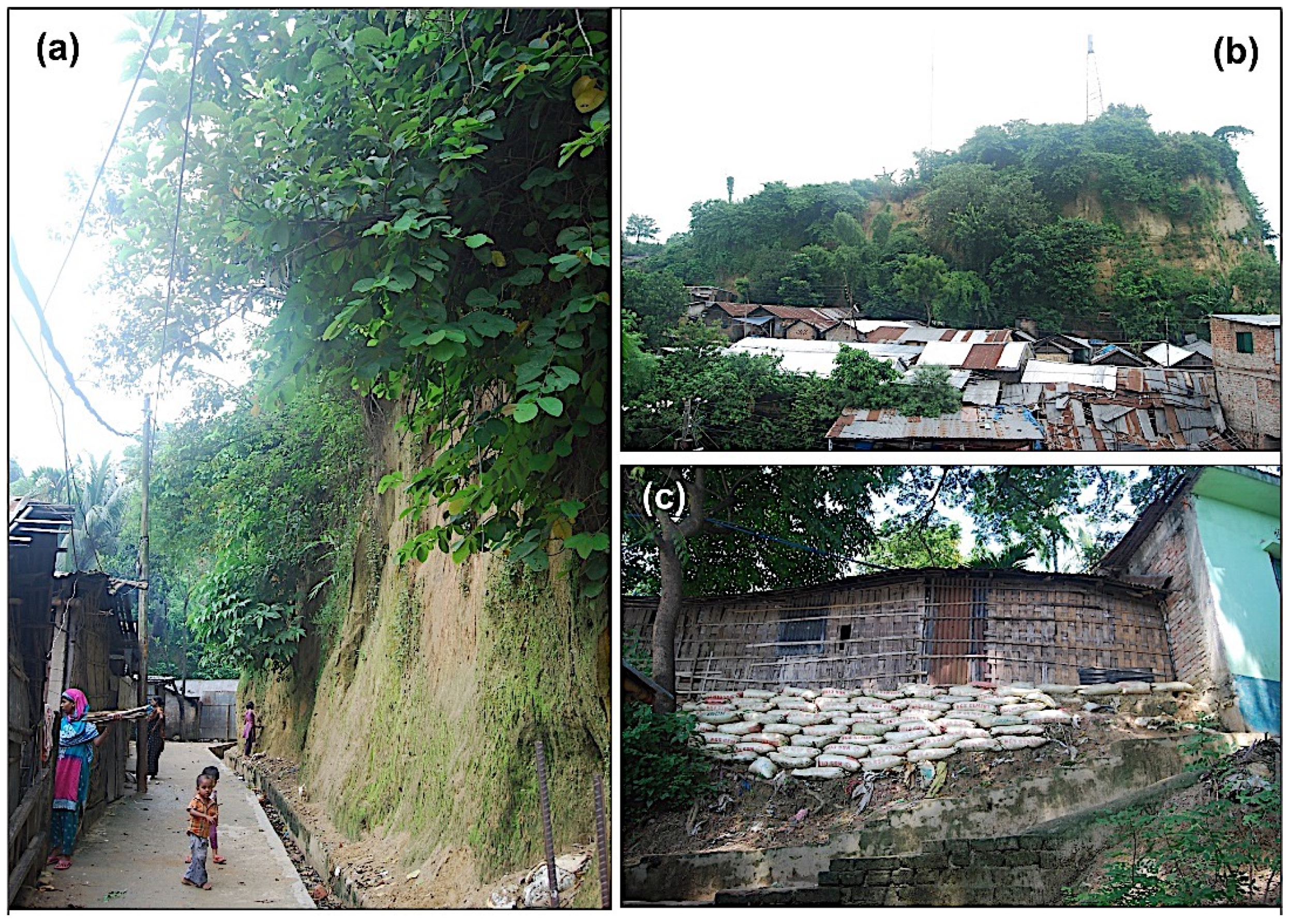 Ijgi 07 00485 g012 Ijgi 07 00485 g012