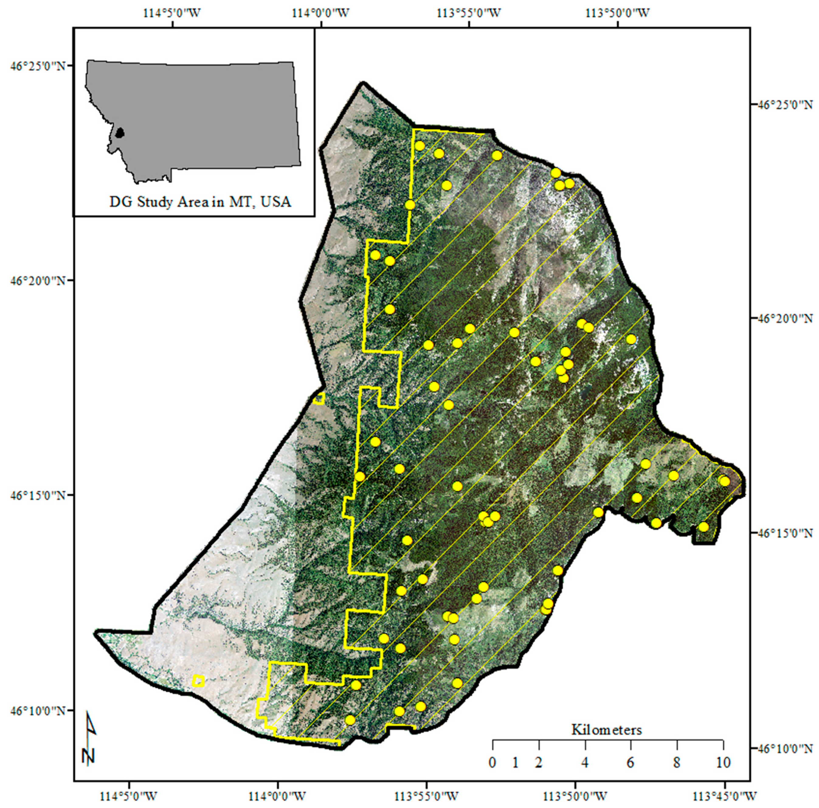 Ijgi 08 00024 g001 550