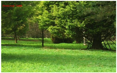 Ijgi 08 00300 i017 Ijgi 08 00300 i017