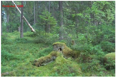 Ijgi 08 00300 i018 Ijgi 08 00300 i018