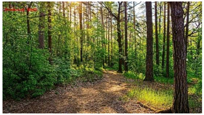 Ijgi 08 00300 i019 Ijgi 08 00300 i019