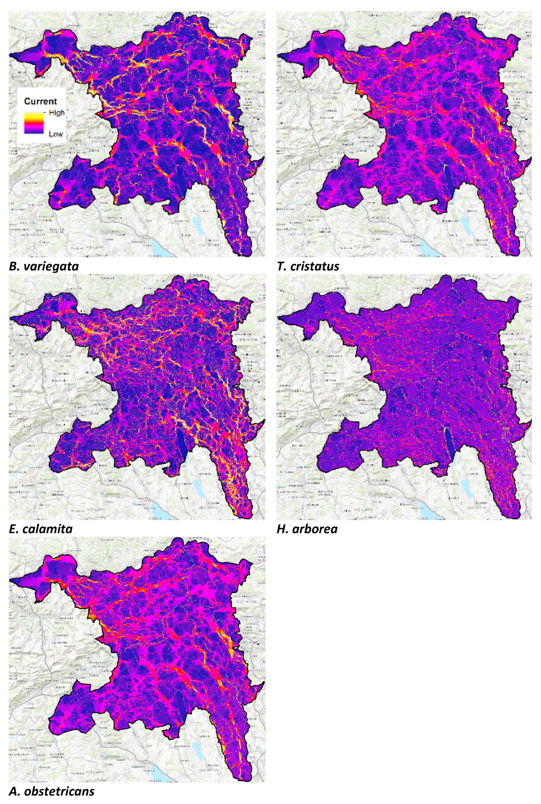 Ijgi 09 00287 g0a2 Ijgi 09 00287 g0a2