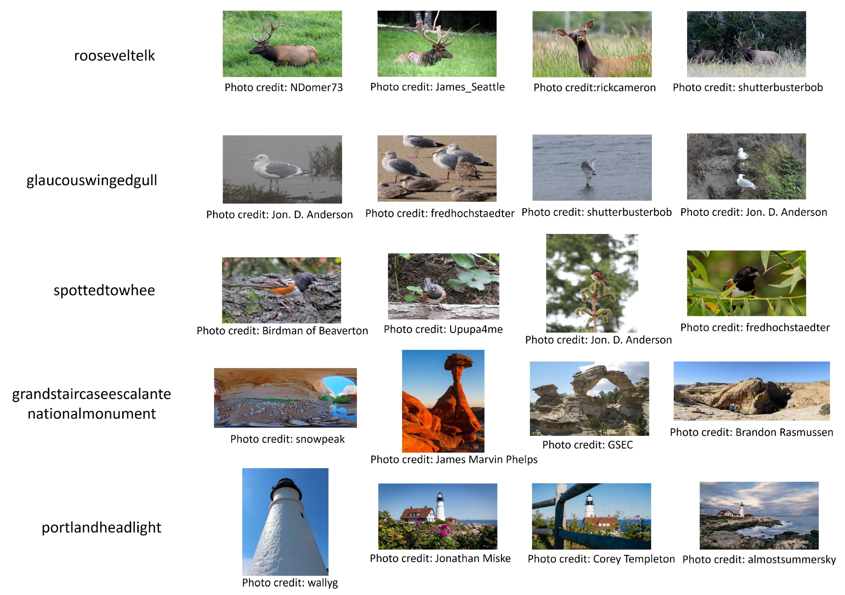 Ijgi 09 00354 g015 Ijgi 09 00354 g015